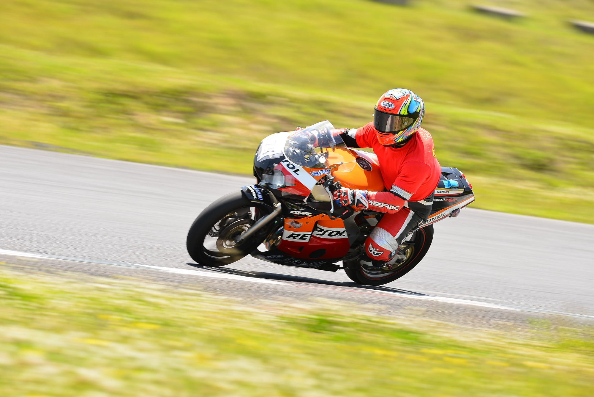 D8J_0242.JPG