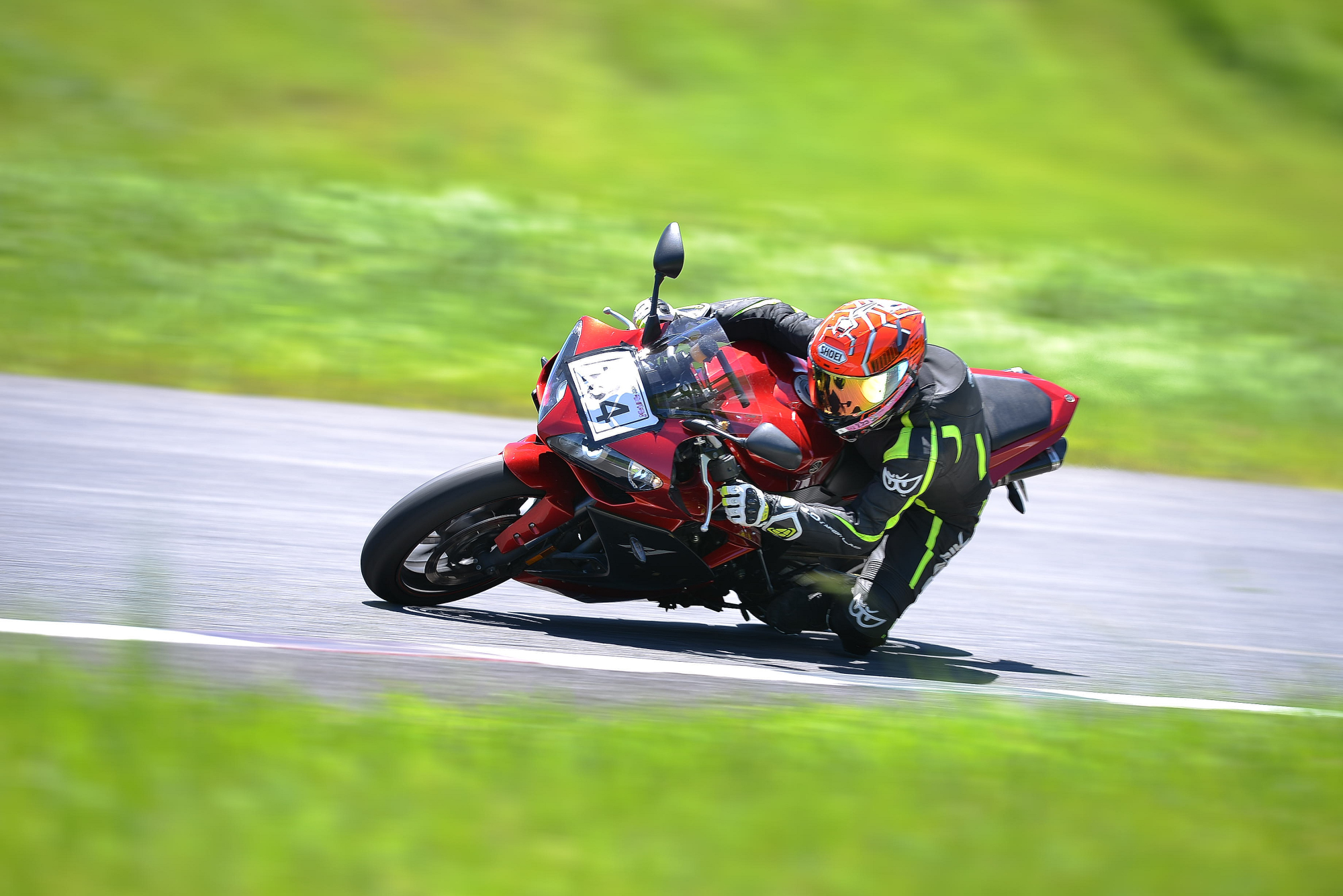 D8J_0373.JPG