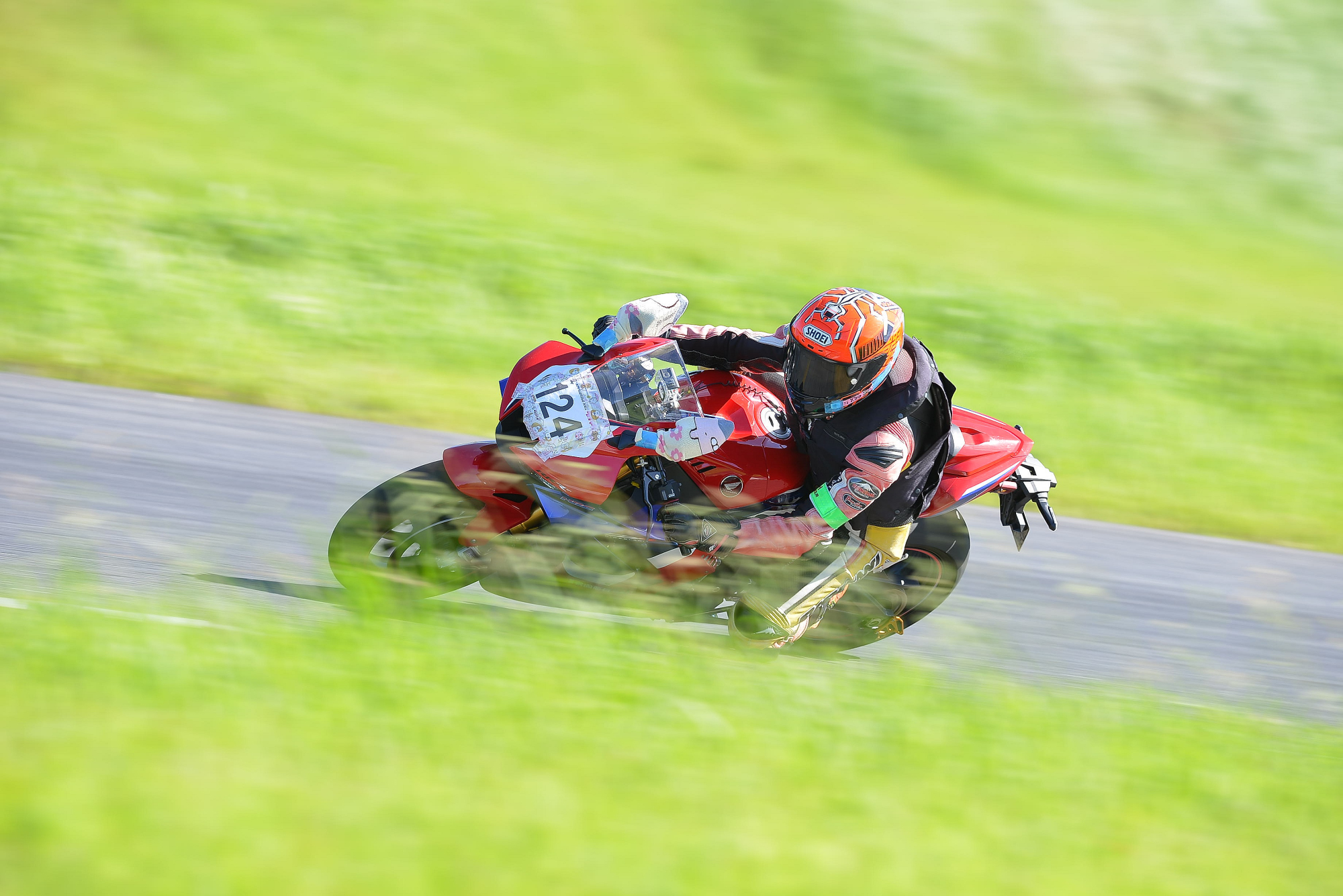 D8J_0914.JPG