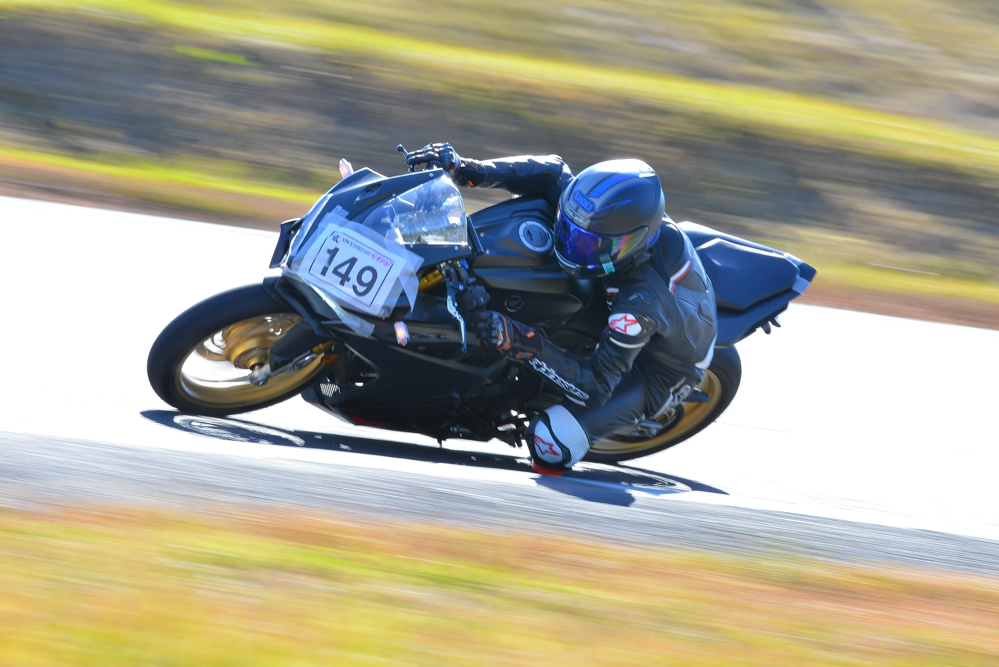 D8J_0195.JPG