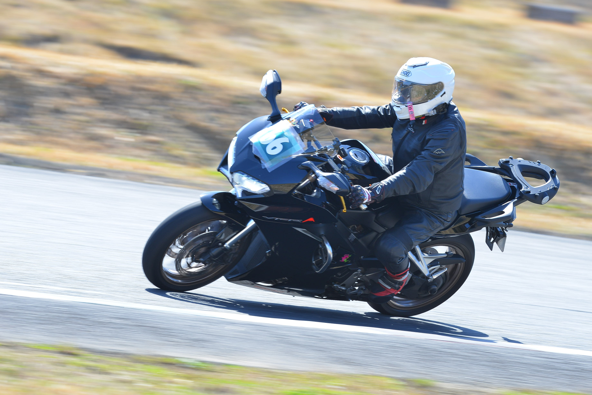 D8J_1169.JPG
