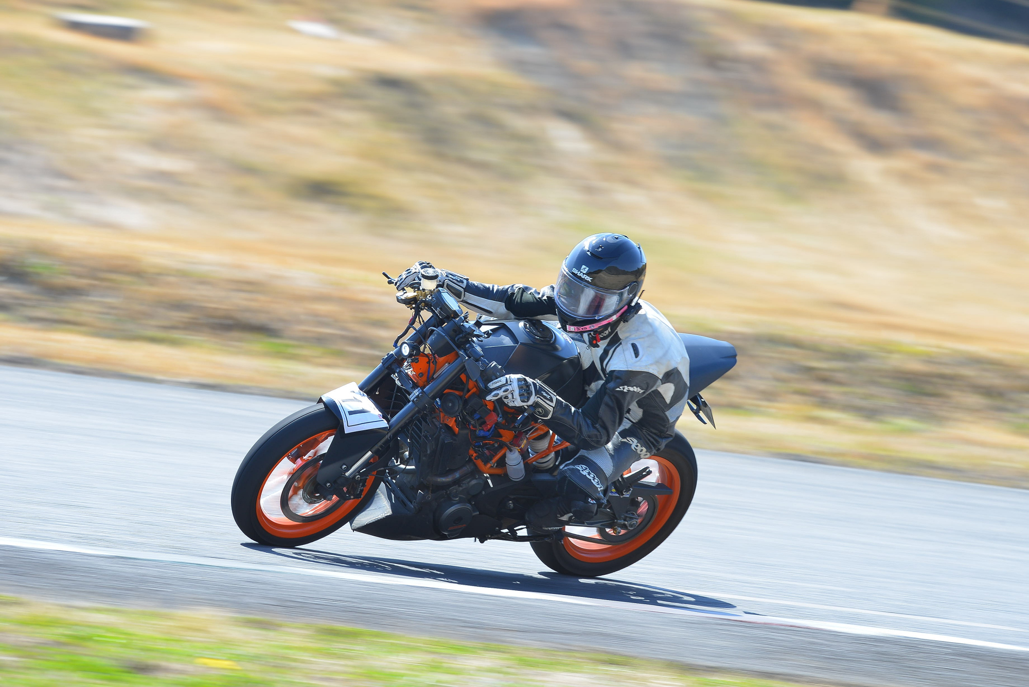 D8J_1210.JPG