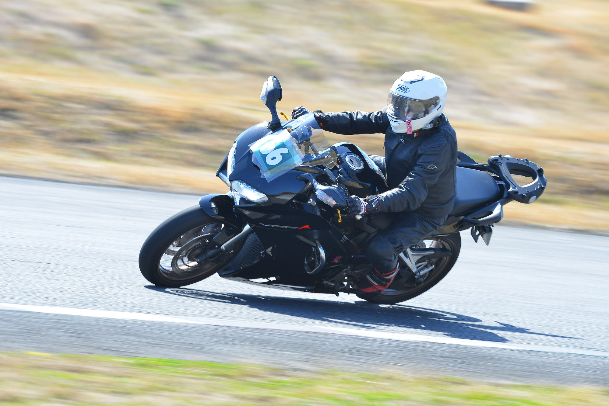 D8J_1217.JPG