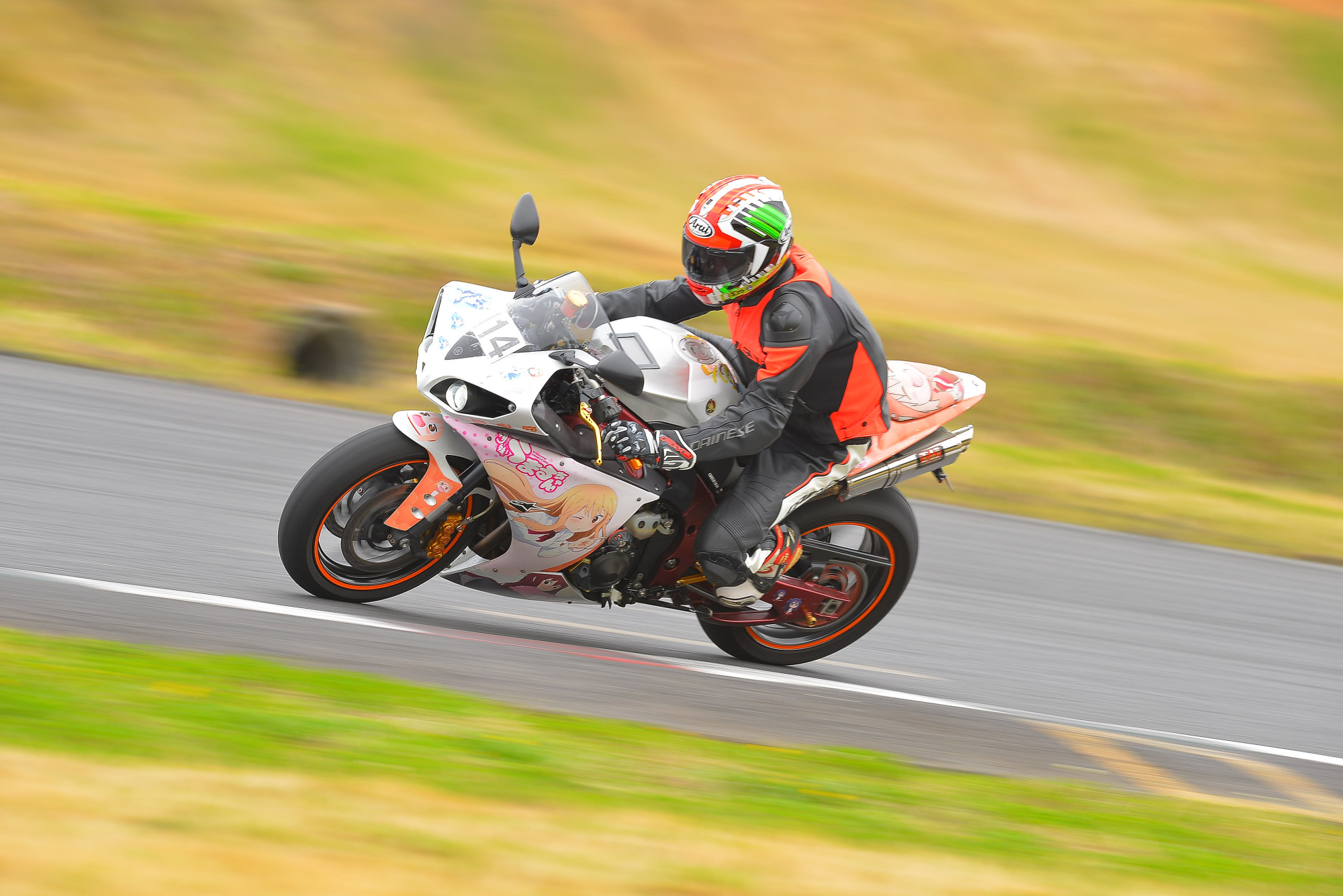 D8J_0348.JPG