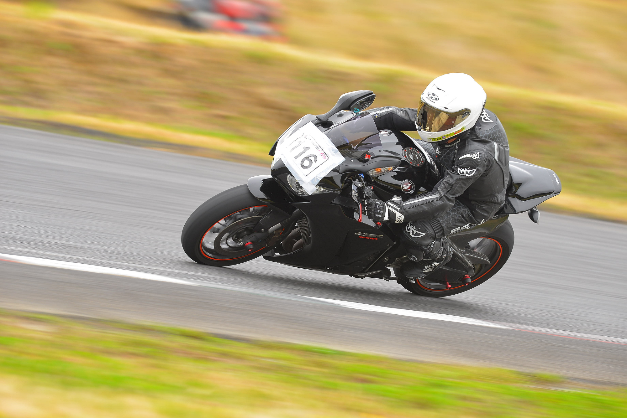D8J_0431.JPG