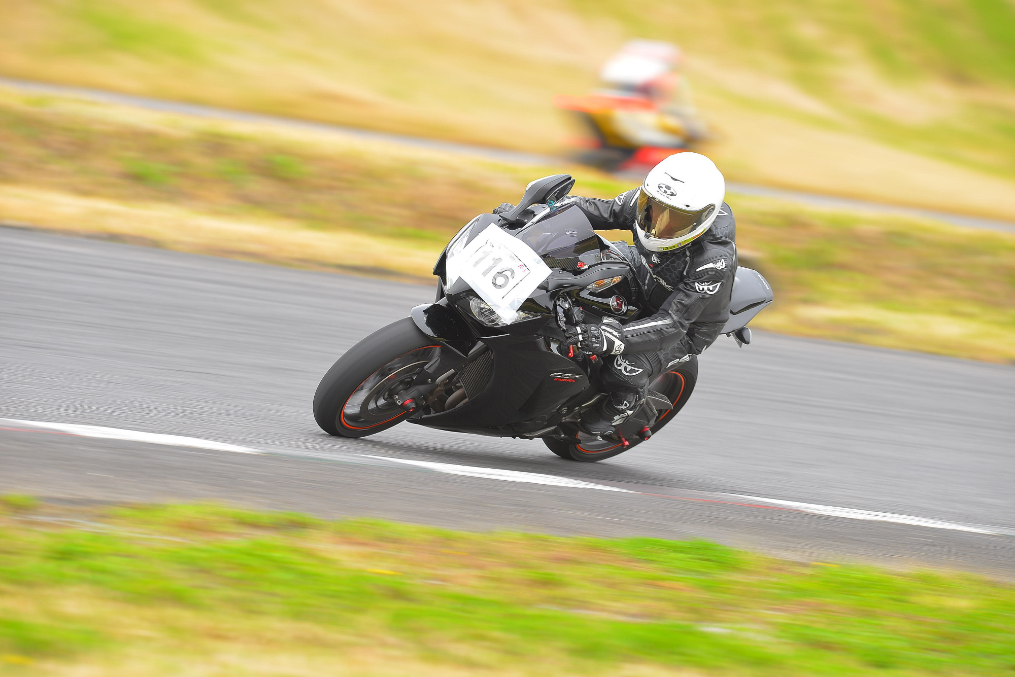 D8J_0495.JPG