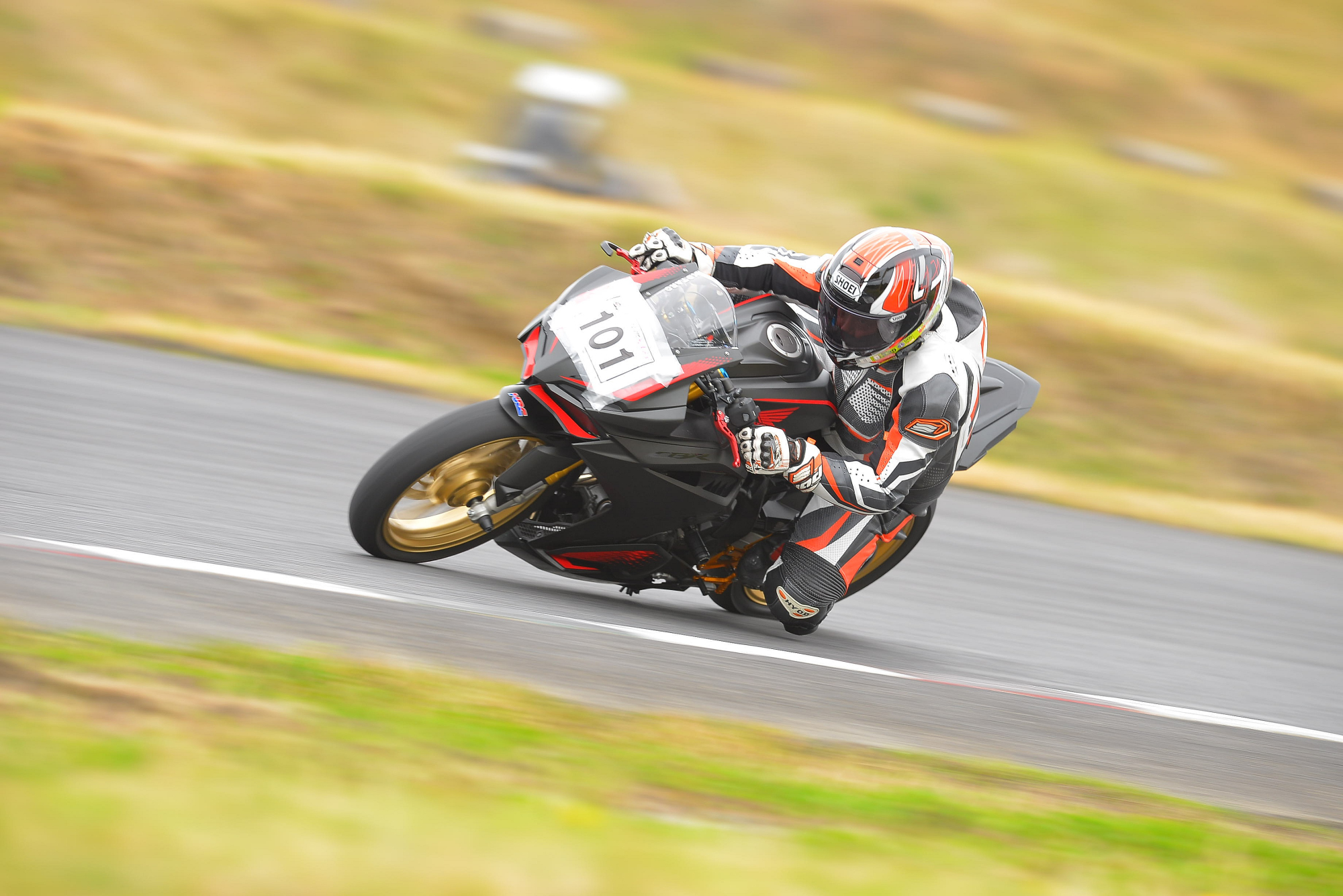 D8J_0554.JPG