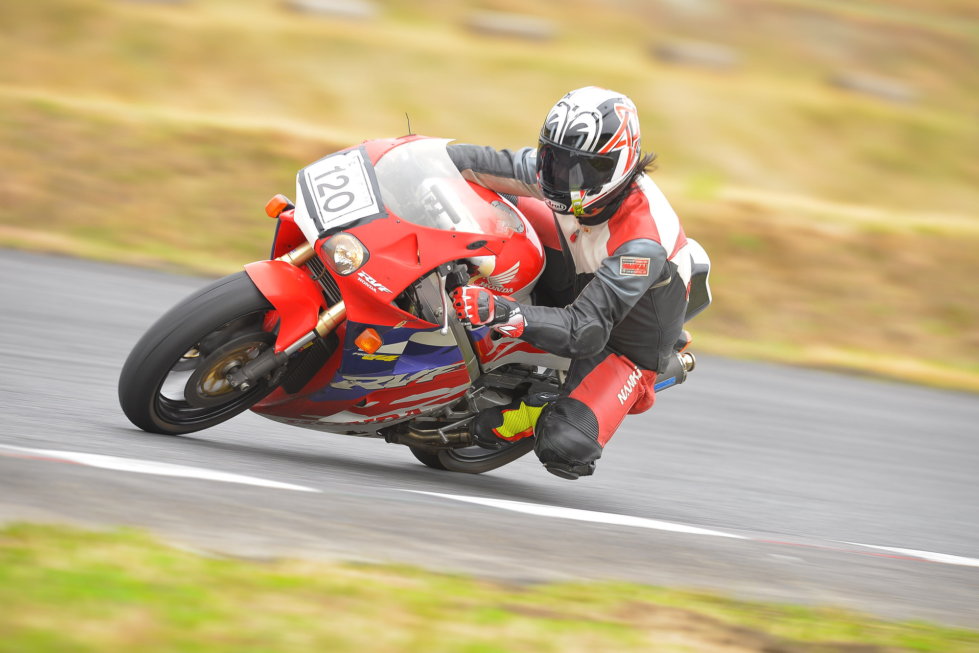 D8J_0613.JPG