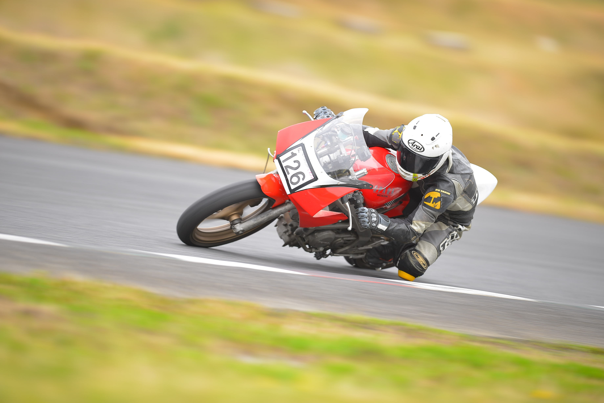 D8J_0695.JPG