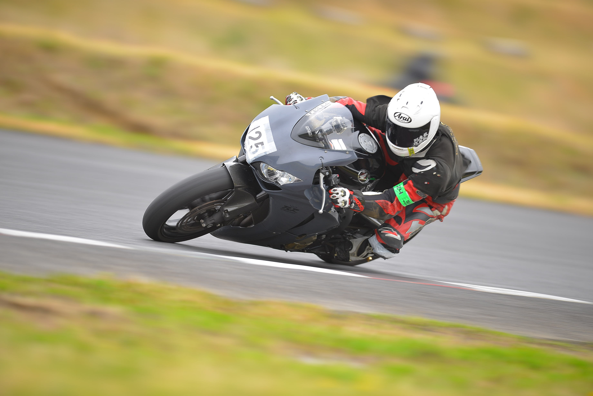 D8J_0749.JPG