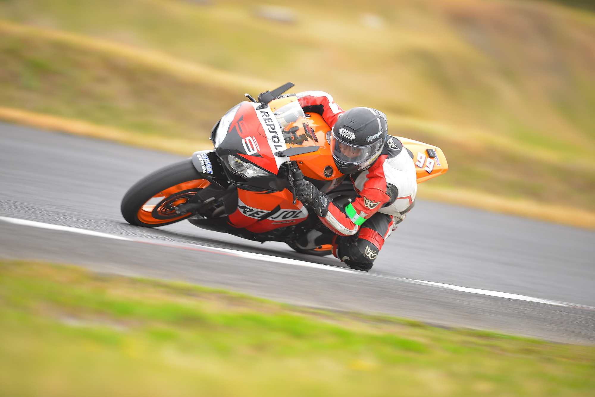 D8J_0779.JPG