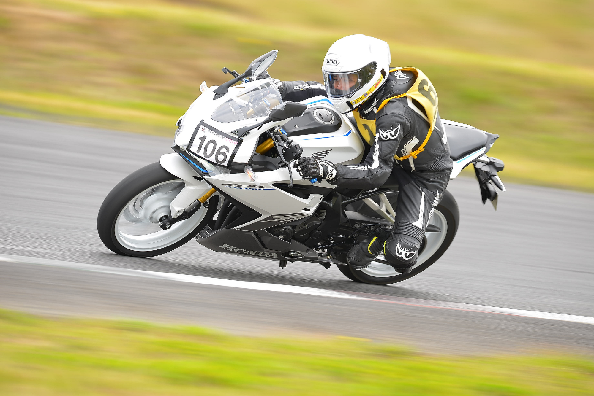 D8J_0056.JPG