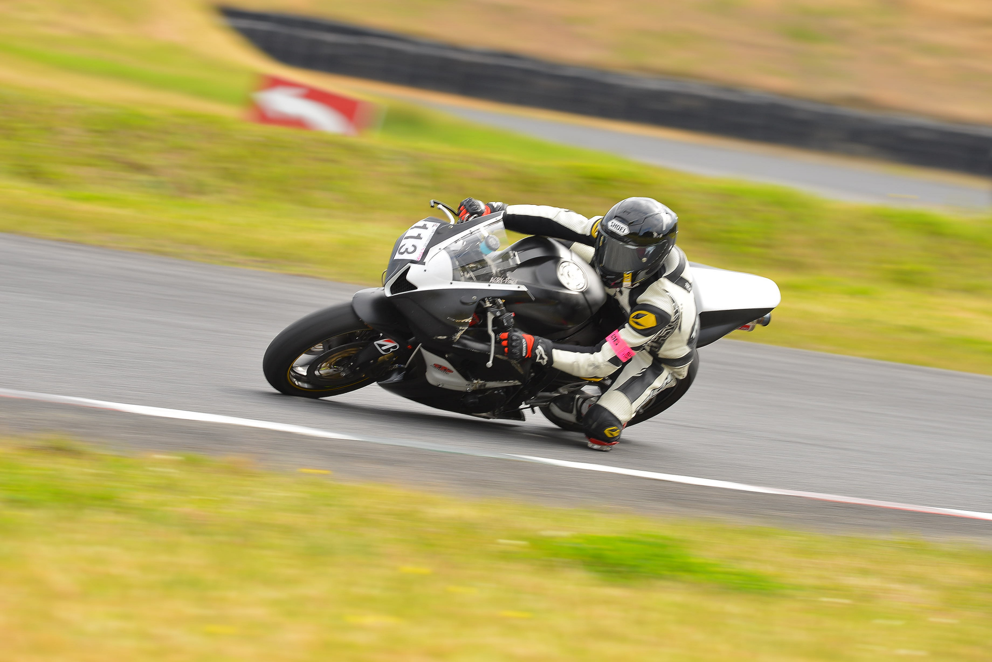 D8J_0174.JPG