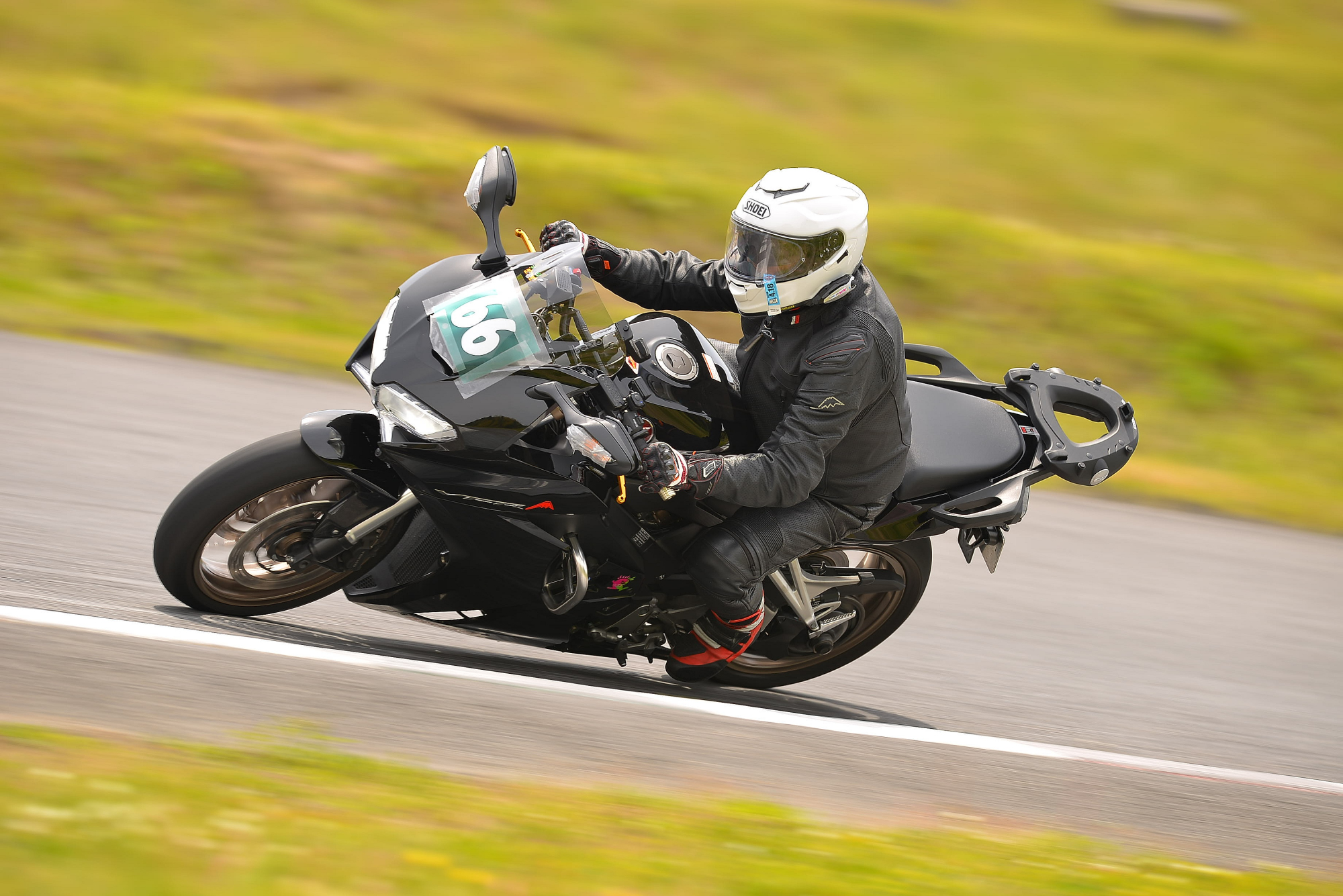 D8J_0004.JPG
