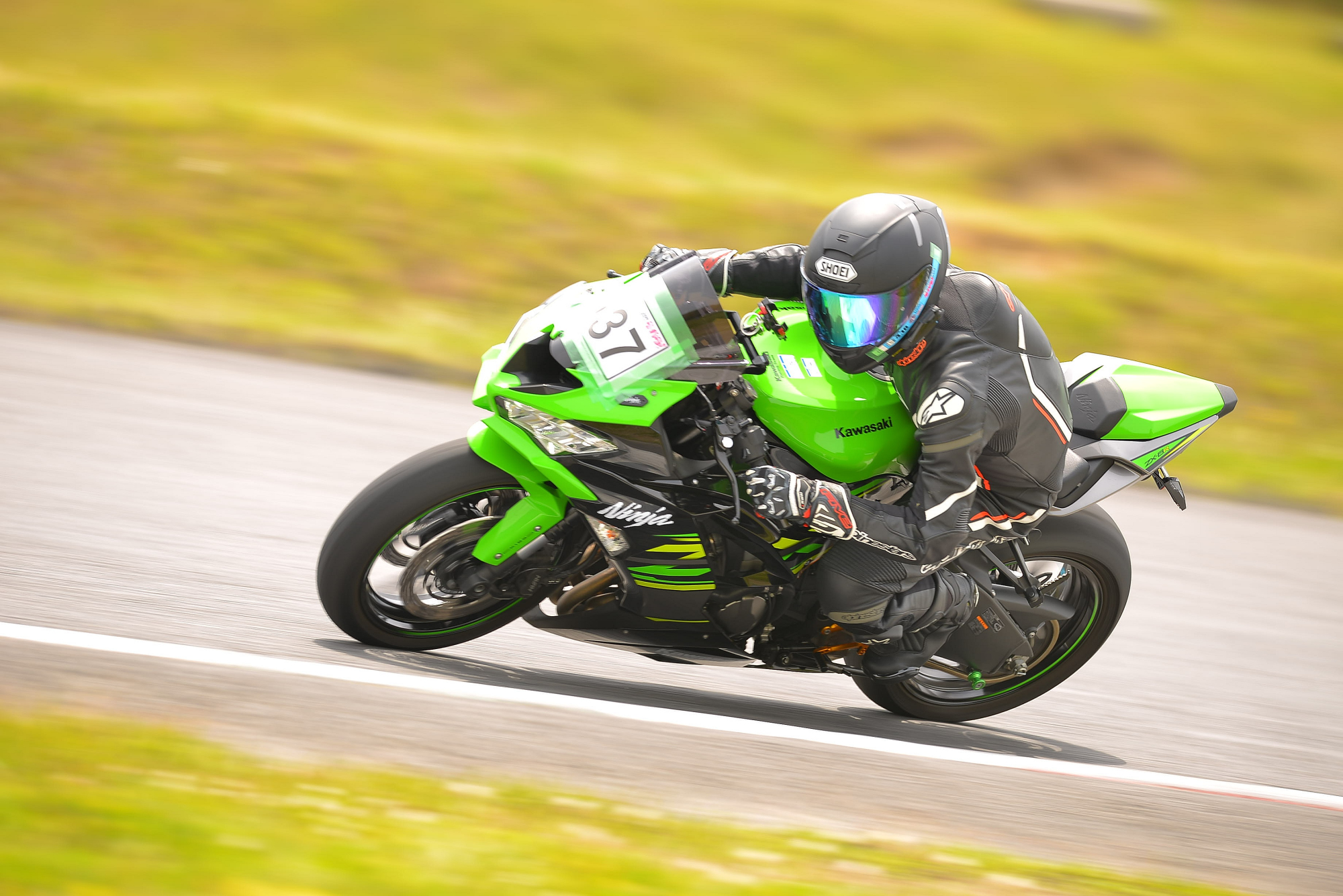 D8J_0041.JPG
