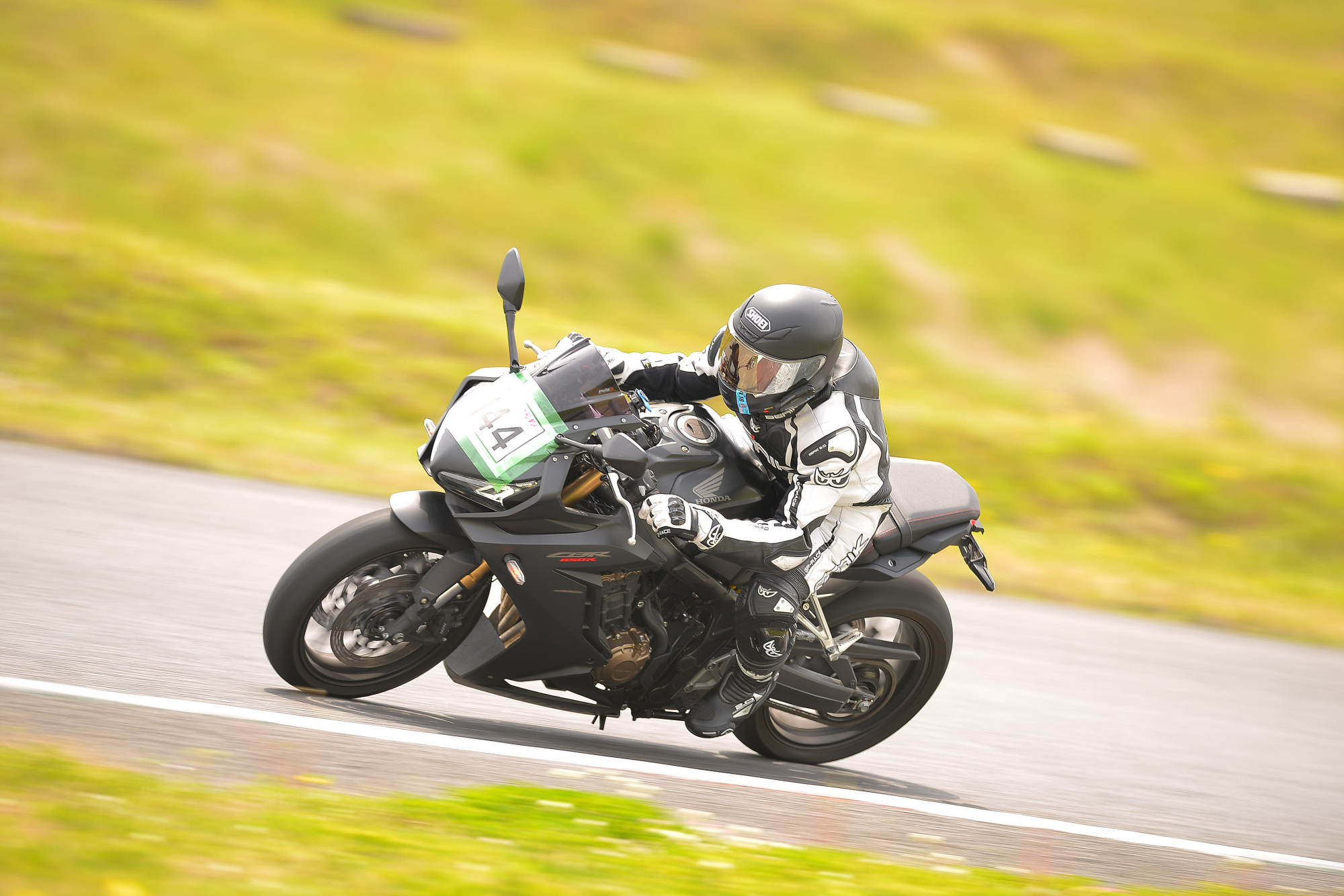 D8J_0117.JPG
