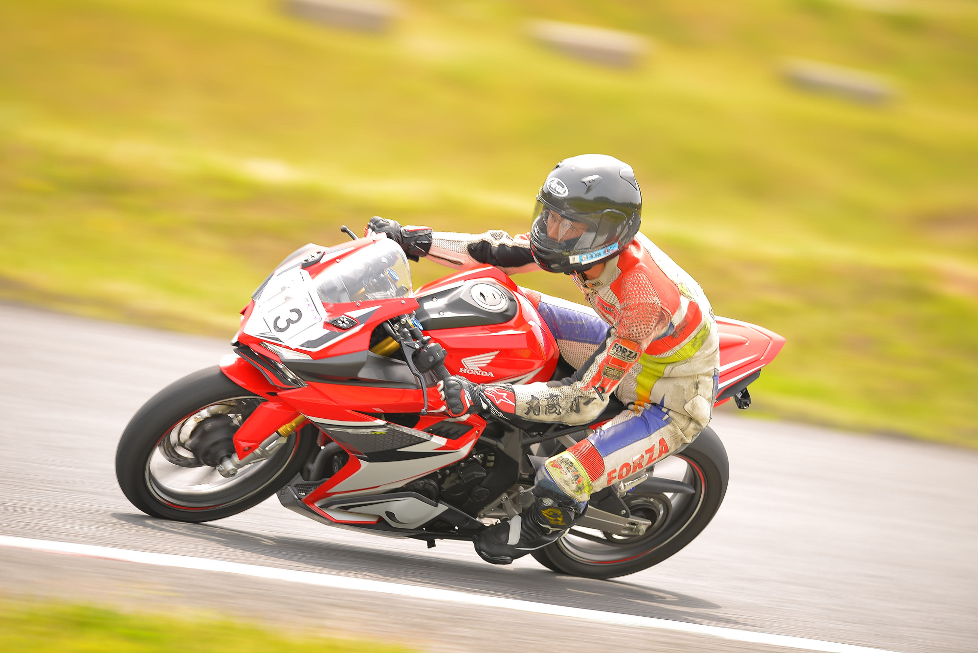 D8J_0124.JPG