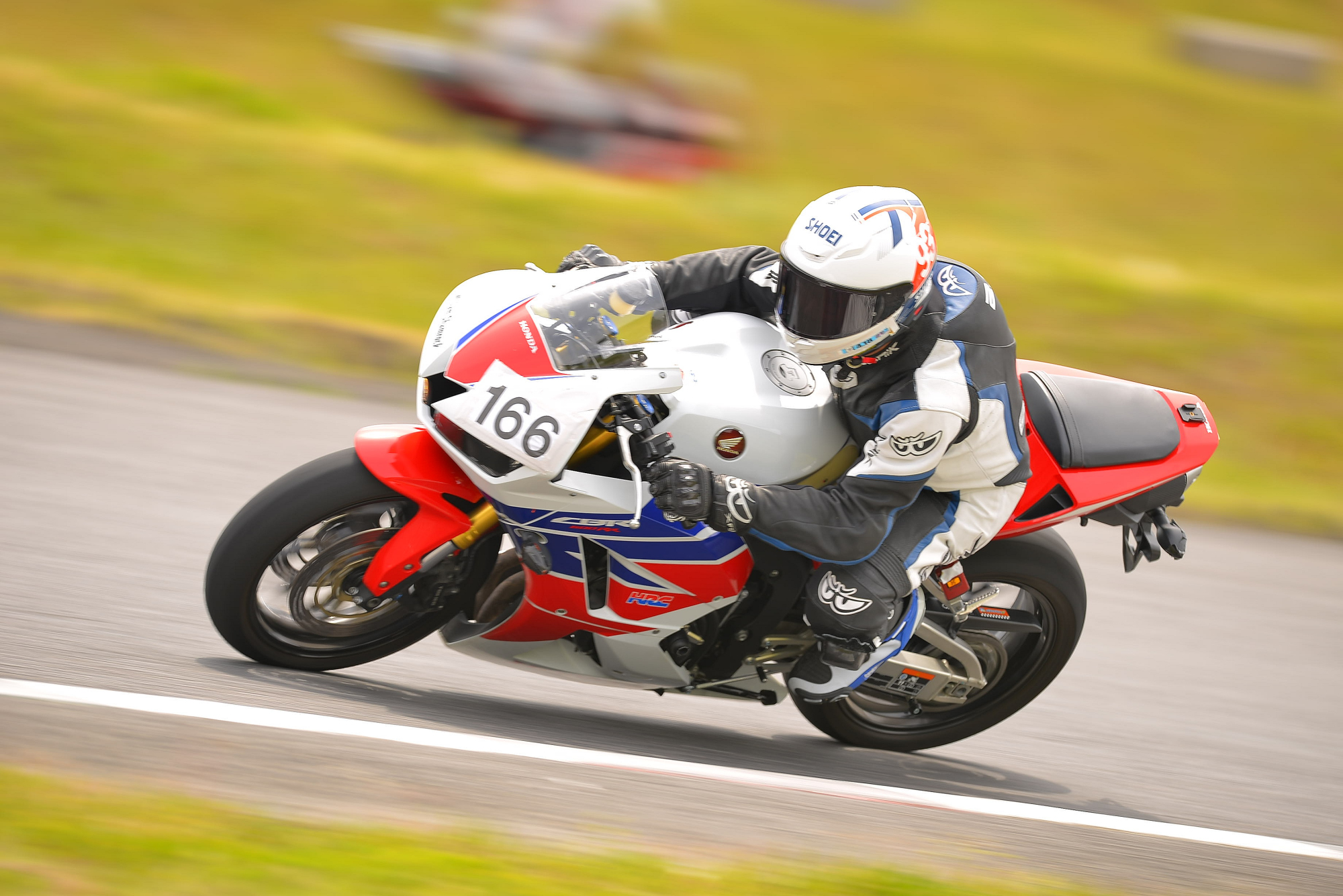 D8J_0137.JPG