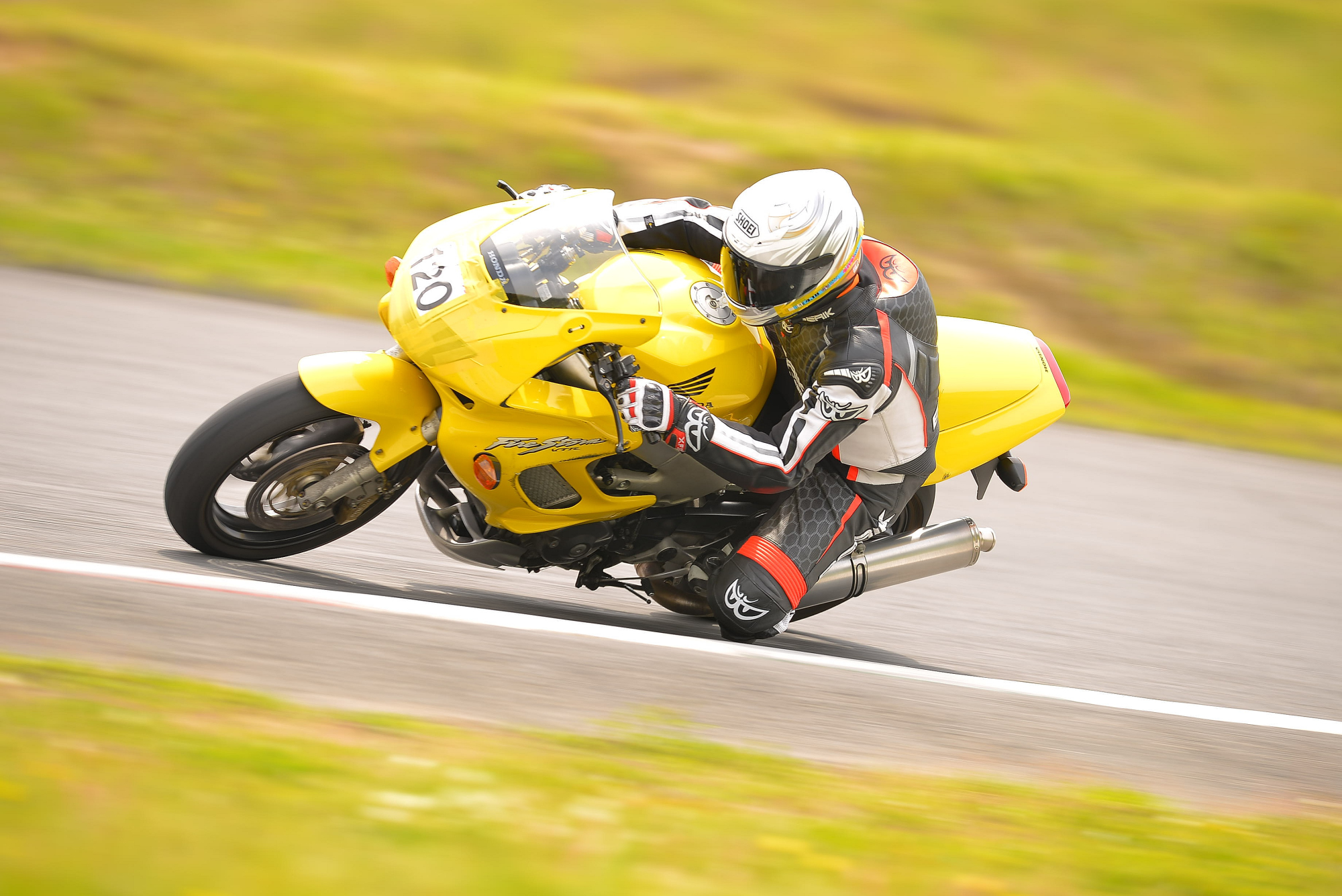 D8J_0334.JPG