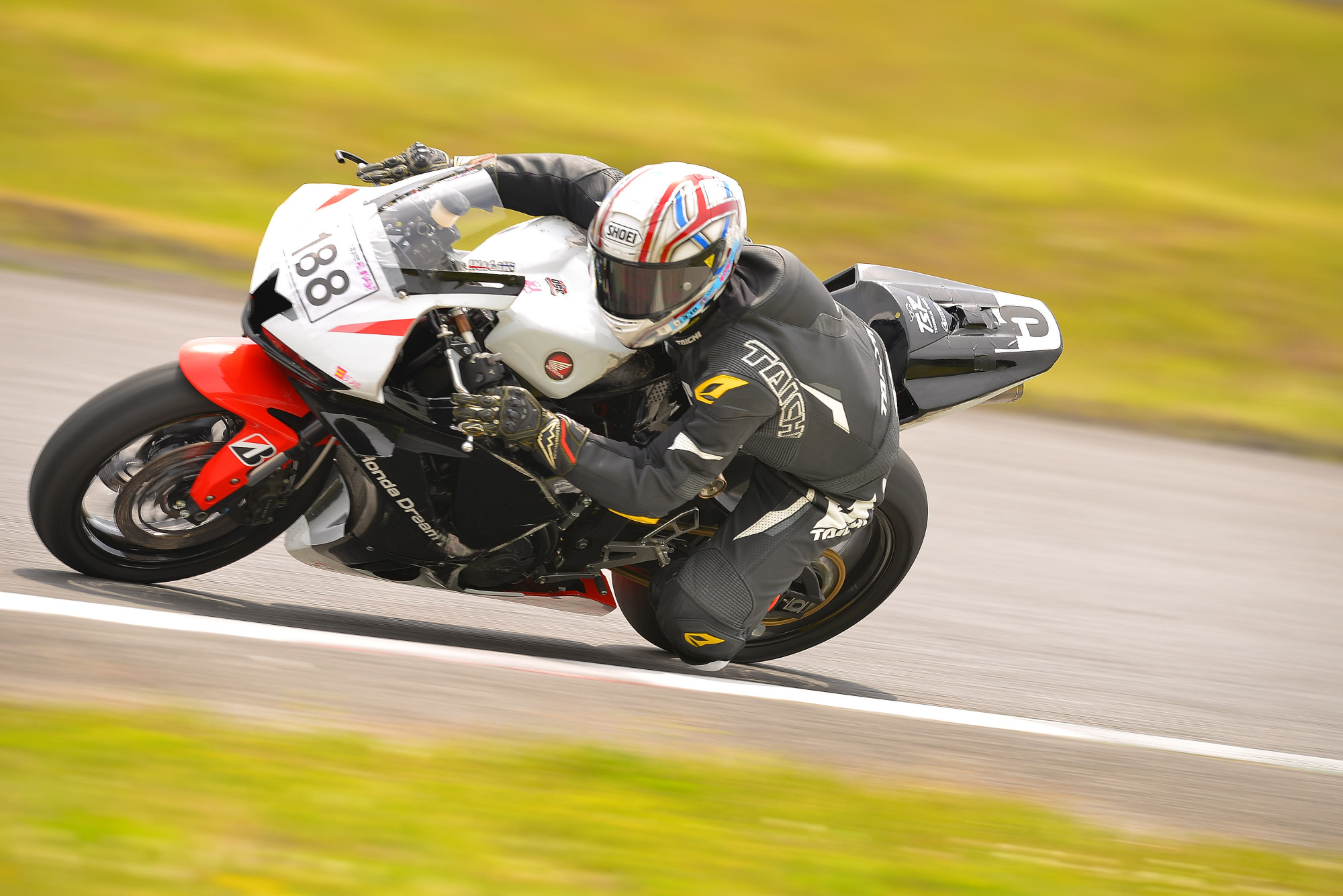 D8J_0381.JPG