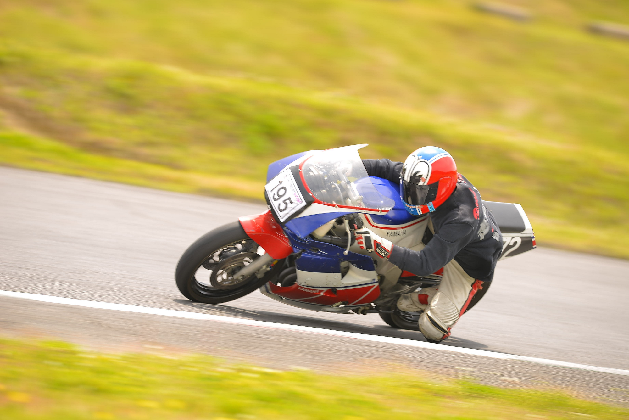 D8J_0387.JPG