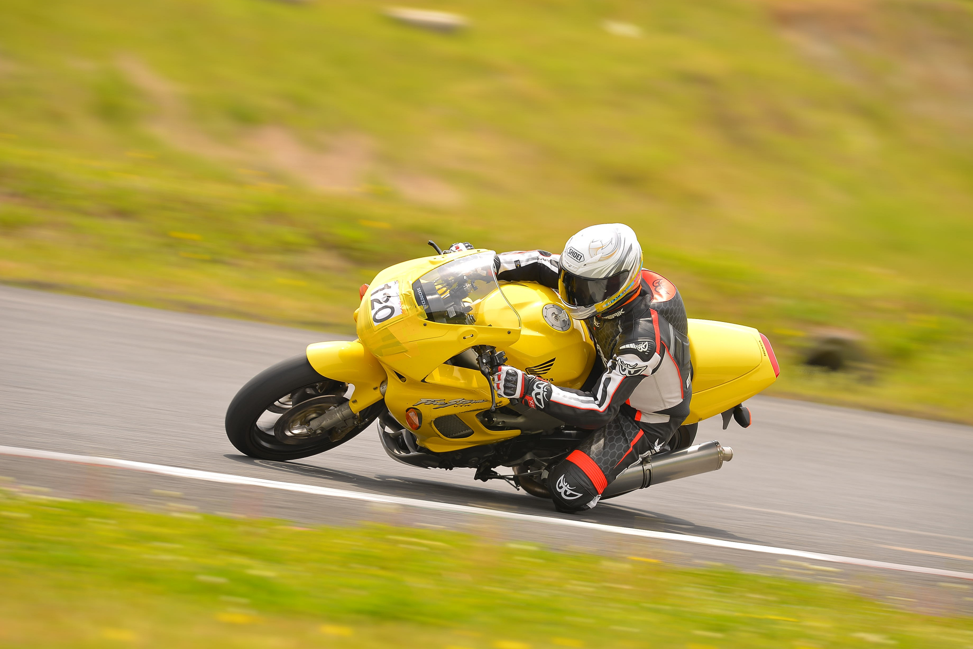 D8J_0430.JPG