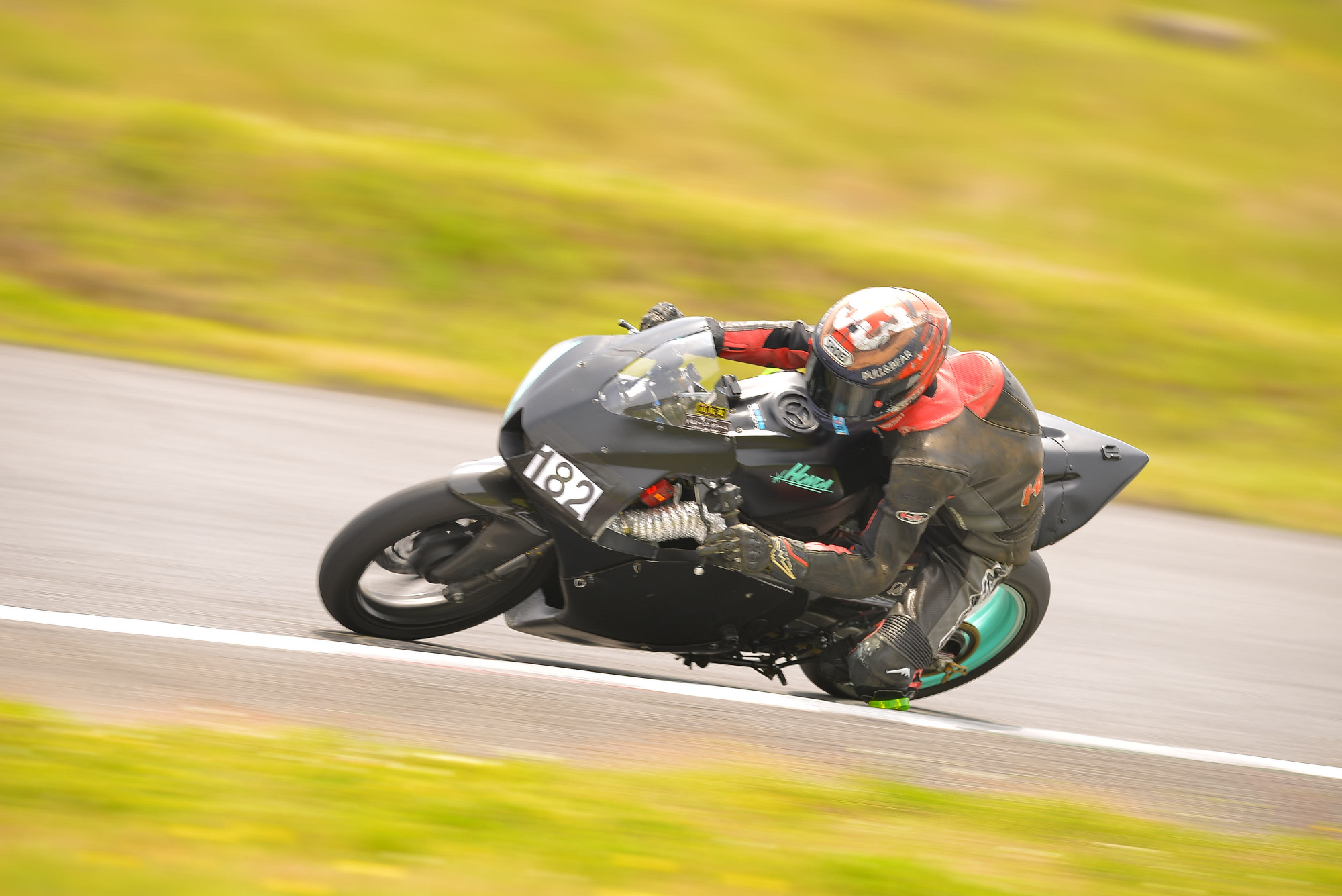 D8J_0460.JPG