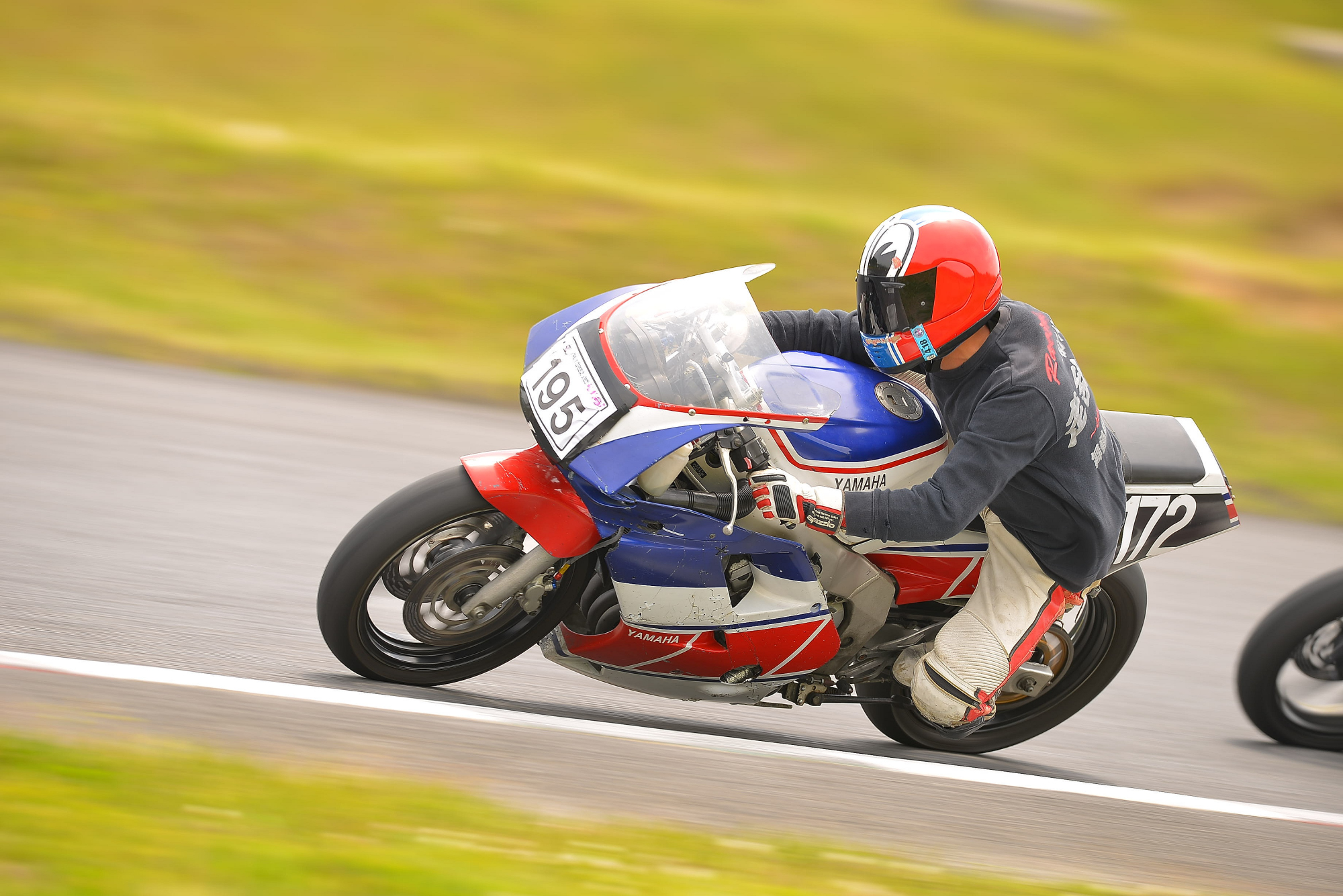 D8J_0485.JPG