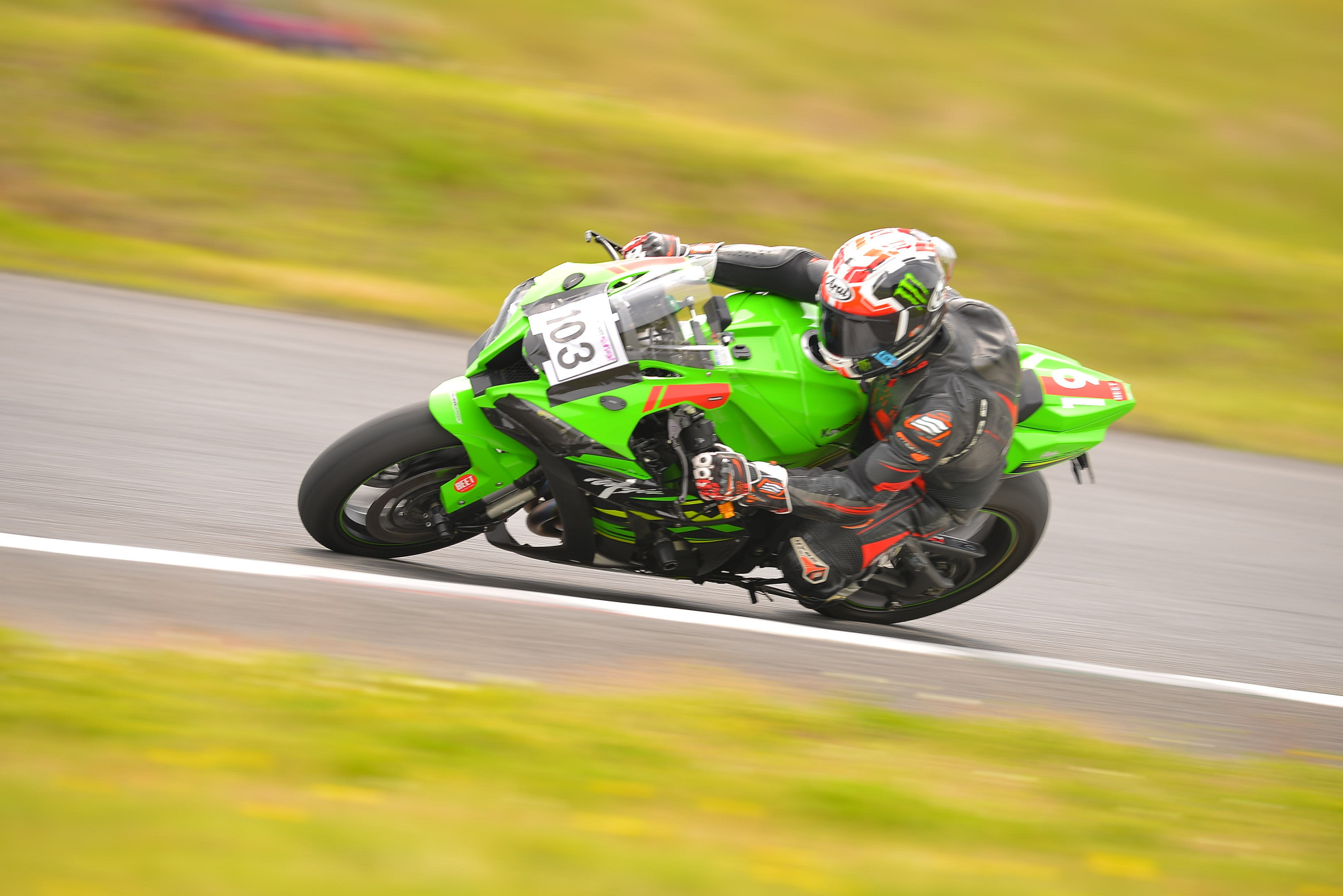 D8J_0494.JPG