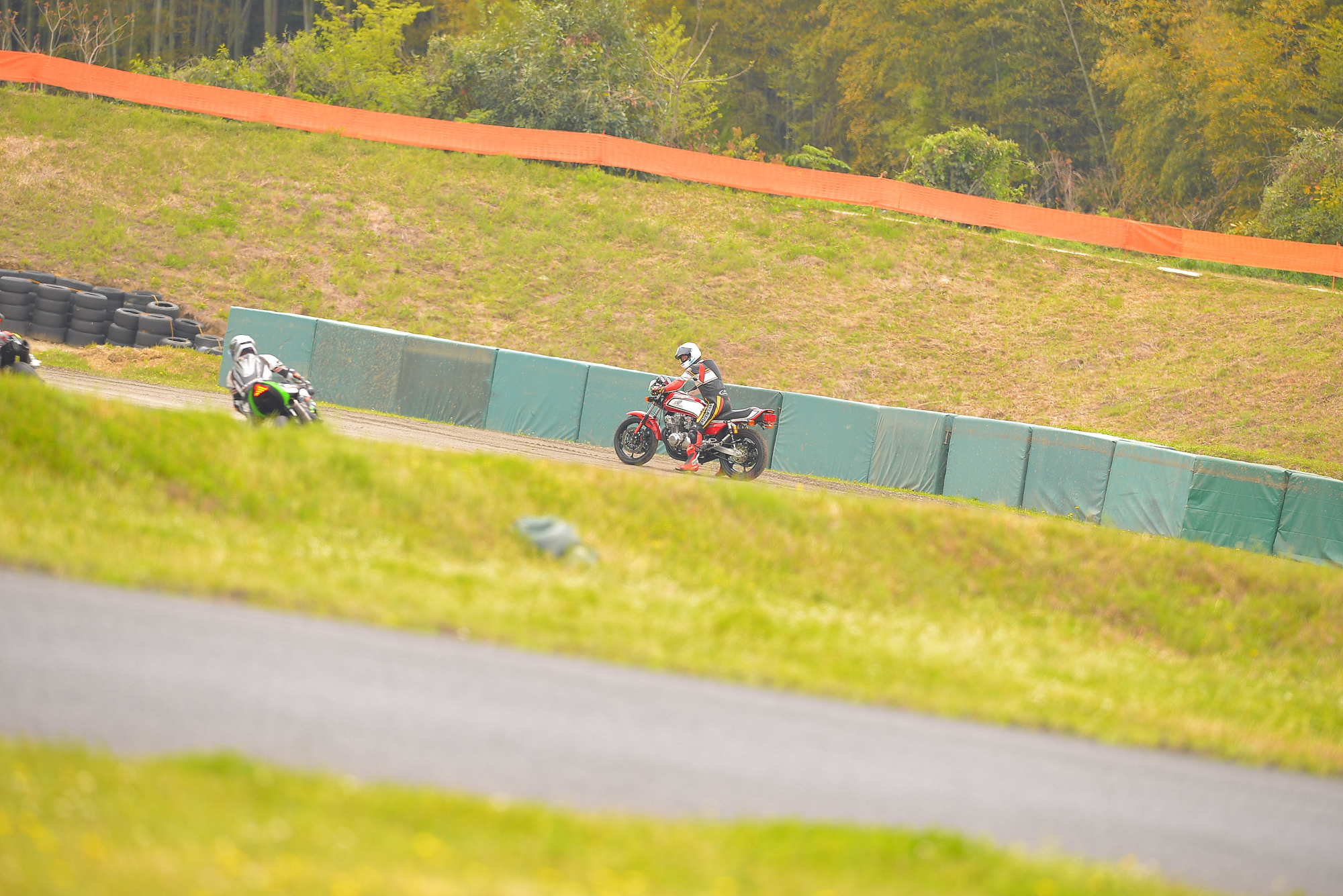 D8J_0530.JPG
