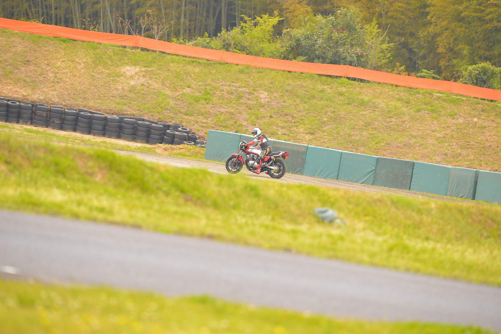 D8J_0531.JPG