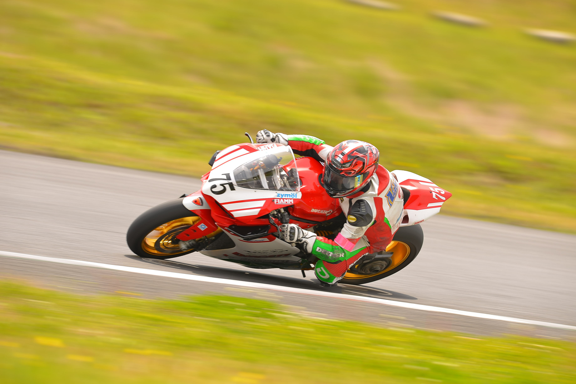 D8J_0553.JPG