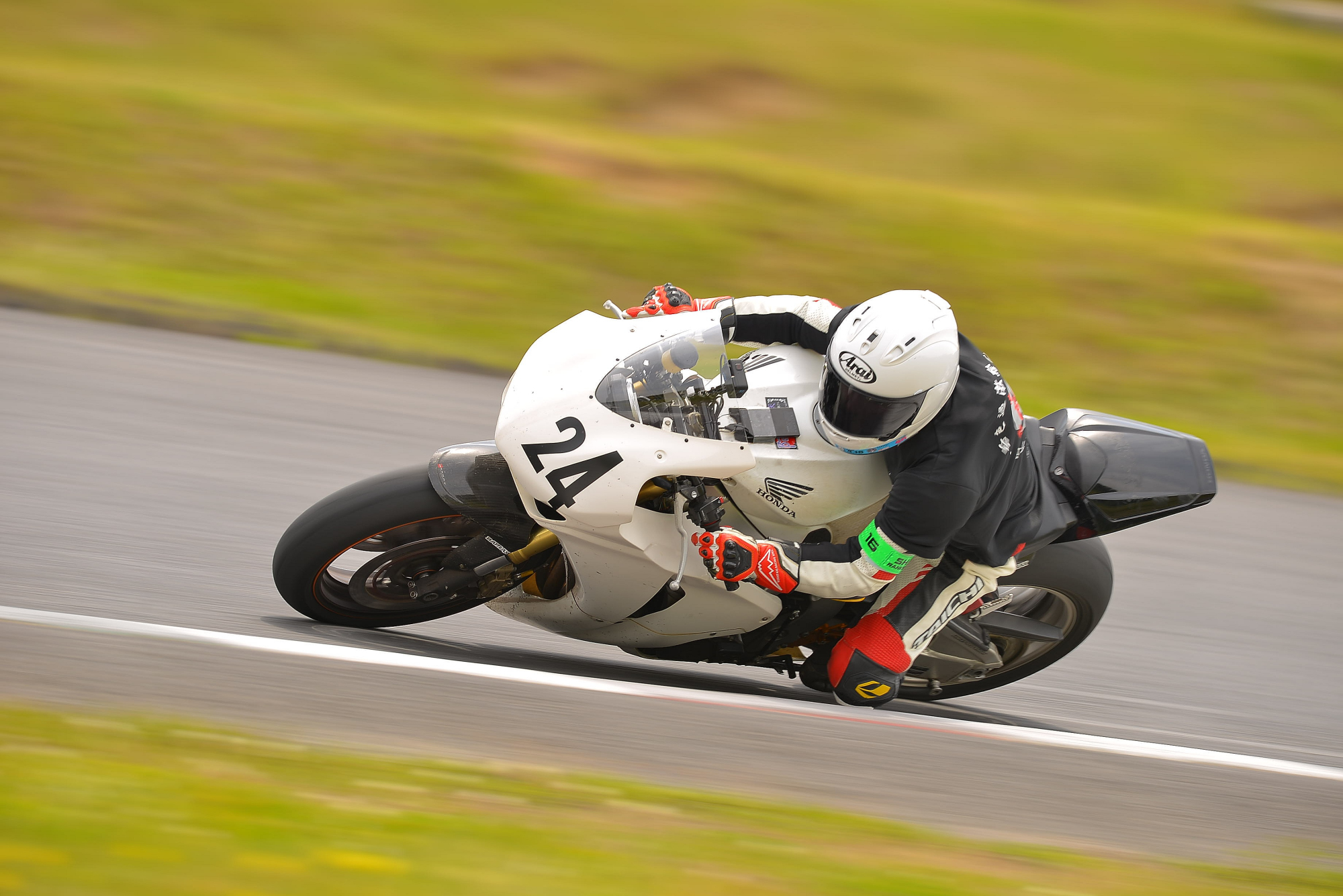 D8J_0574.JPG