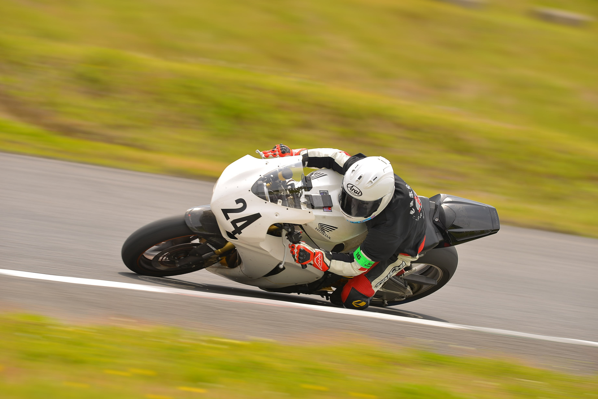 D8J_0586.JPG