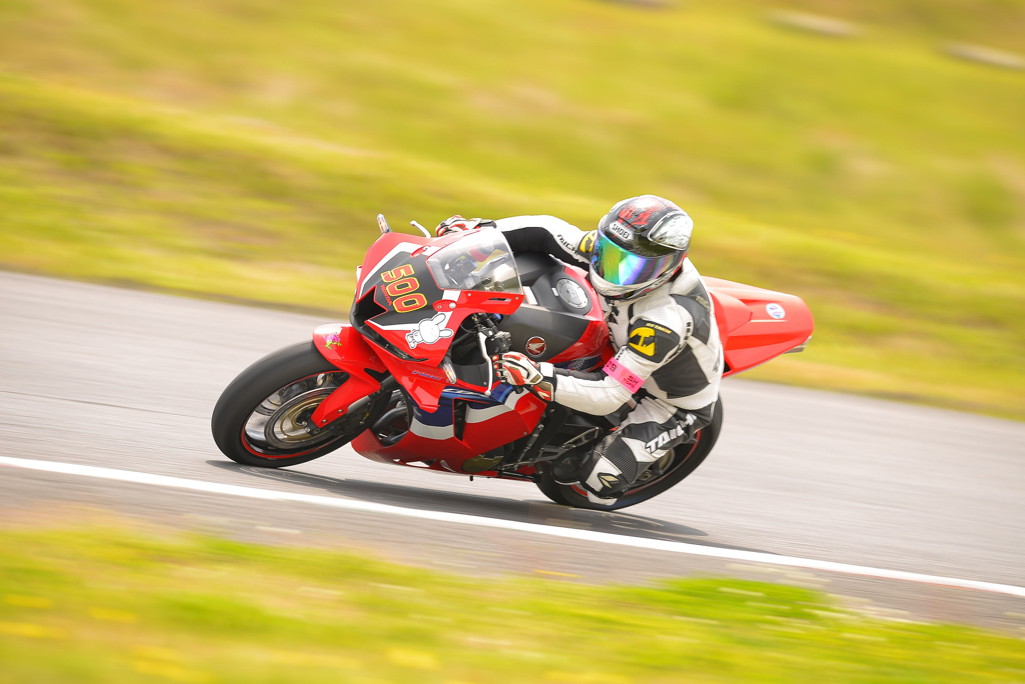 D8J_0589.JPG