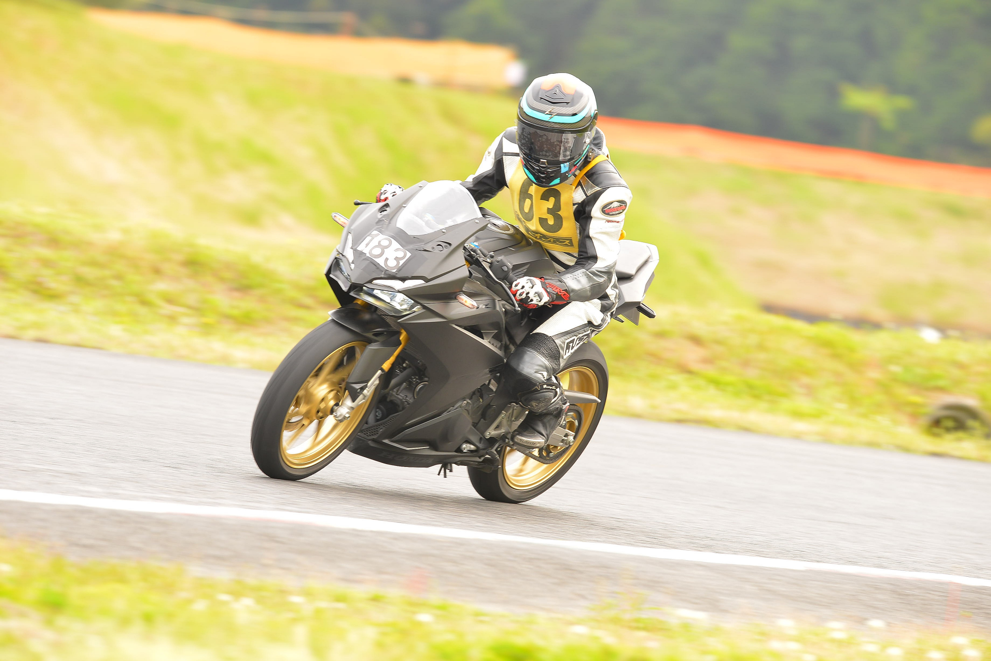 D8J_0683.JPG