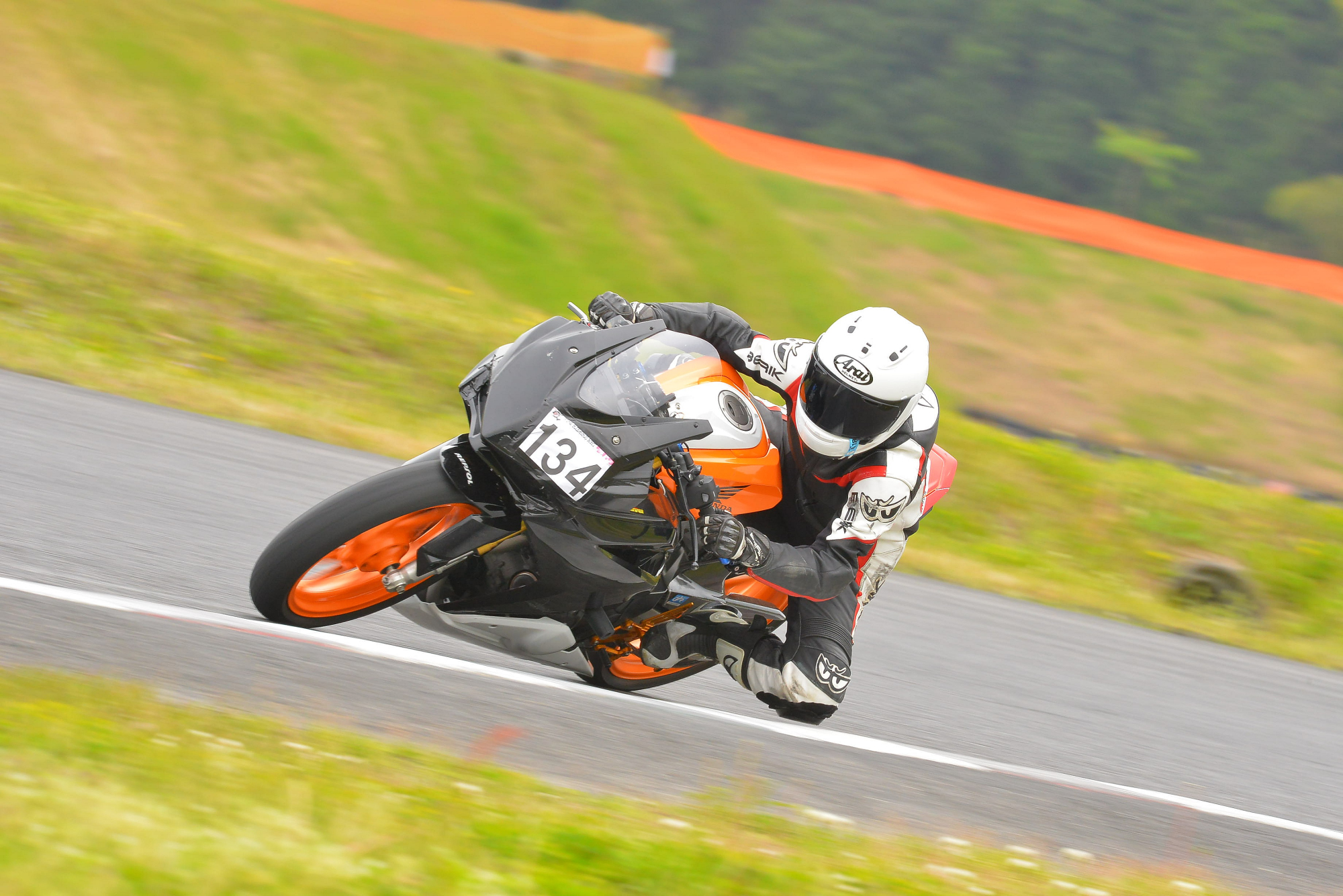 D8J_0911.JPG
