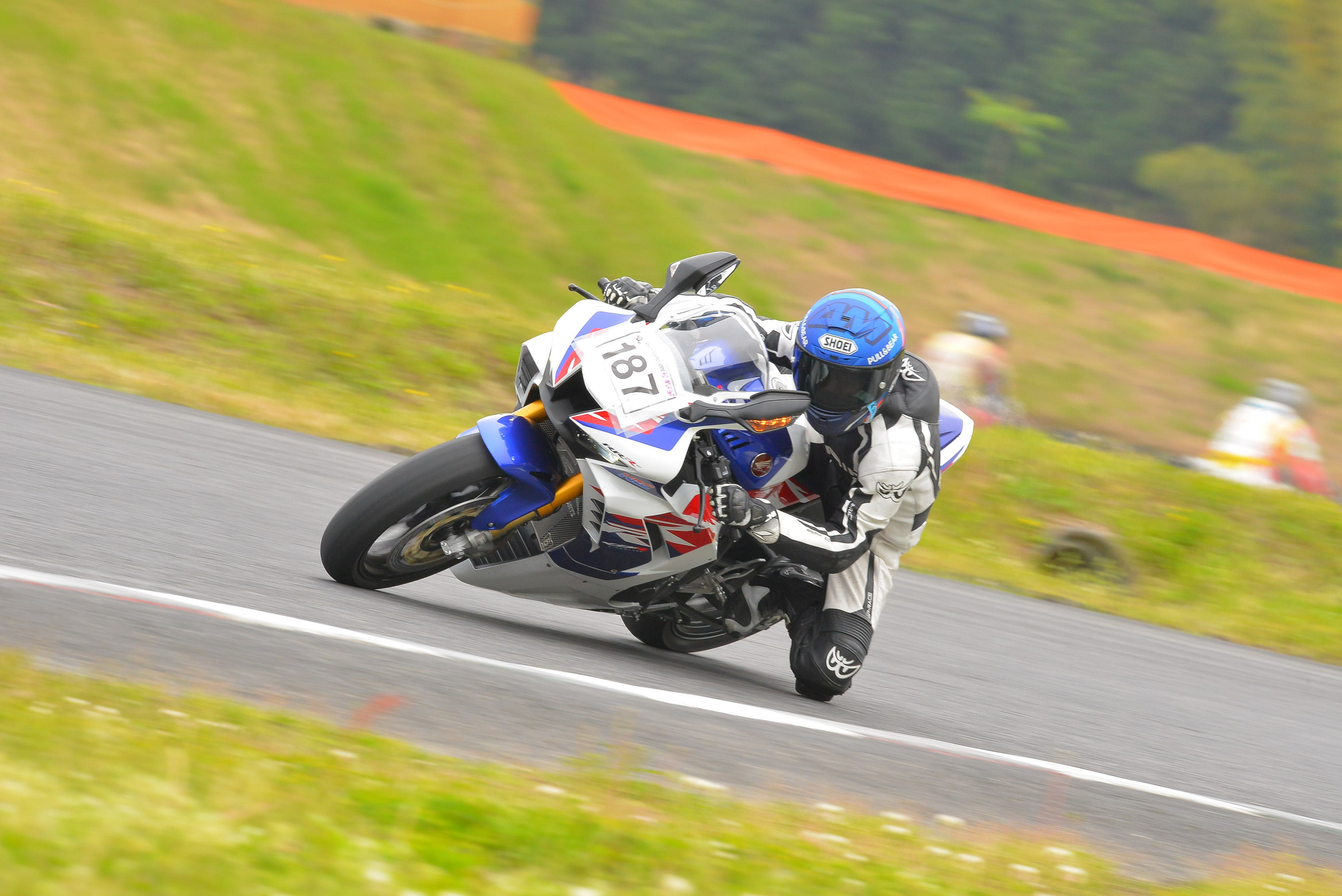D8J_0915.JPG