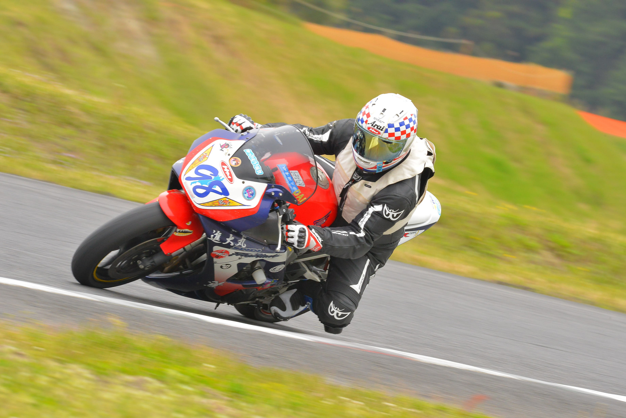 D8J_0916.JPG
