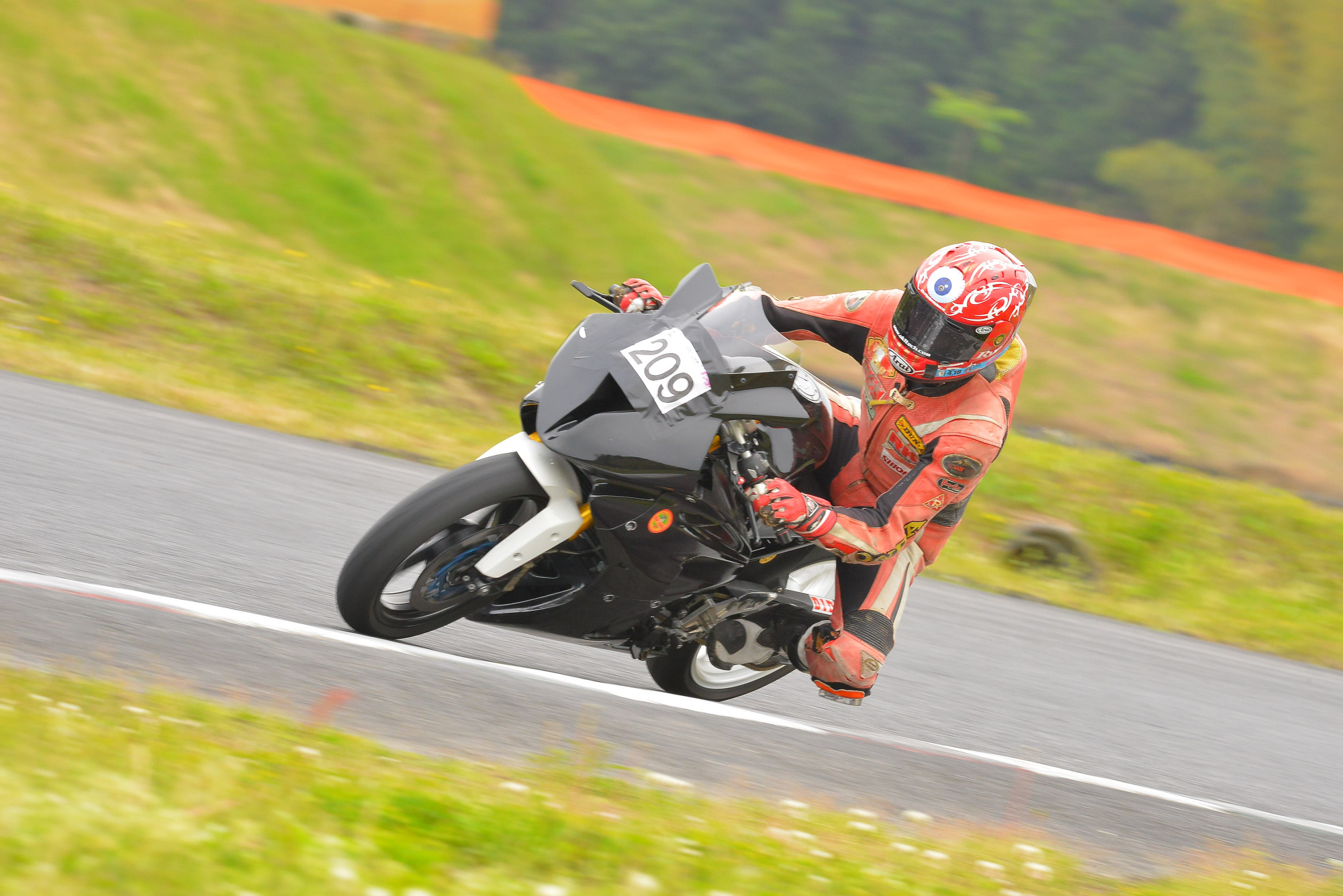 D8J_0919.JPG