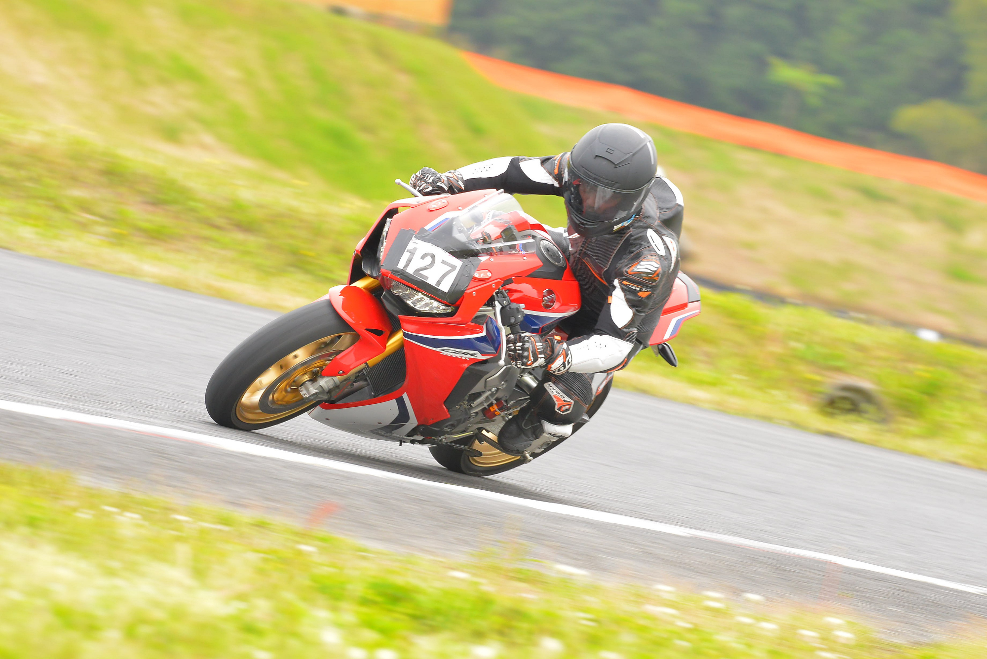 D8J_0920.JPG