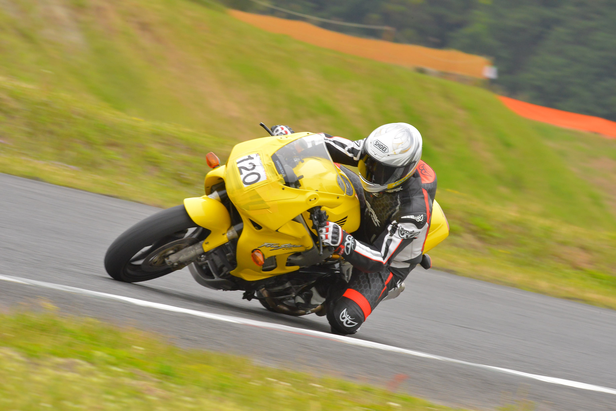 D8J_0932.JPG