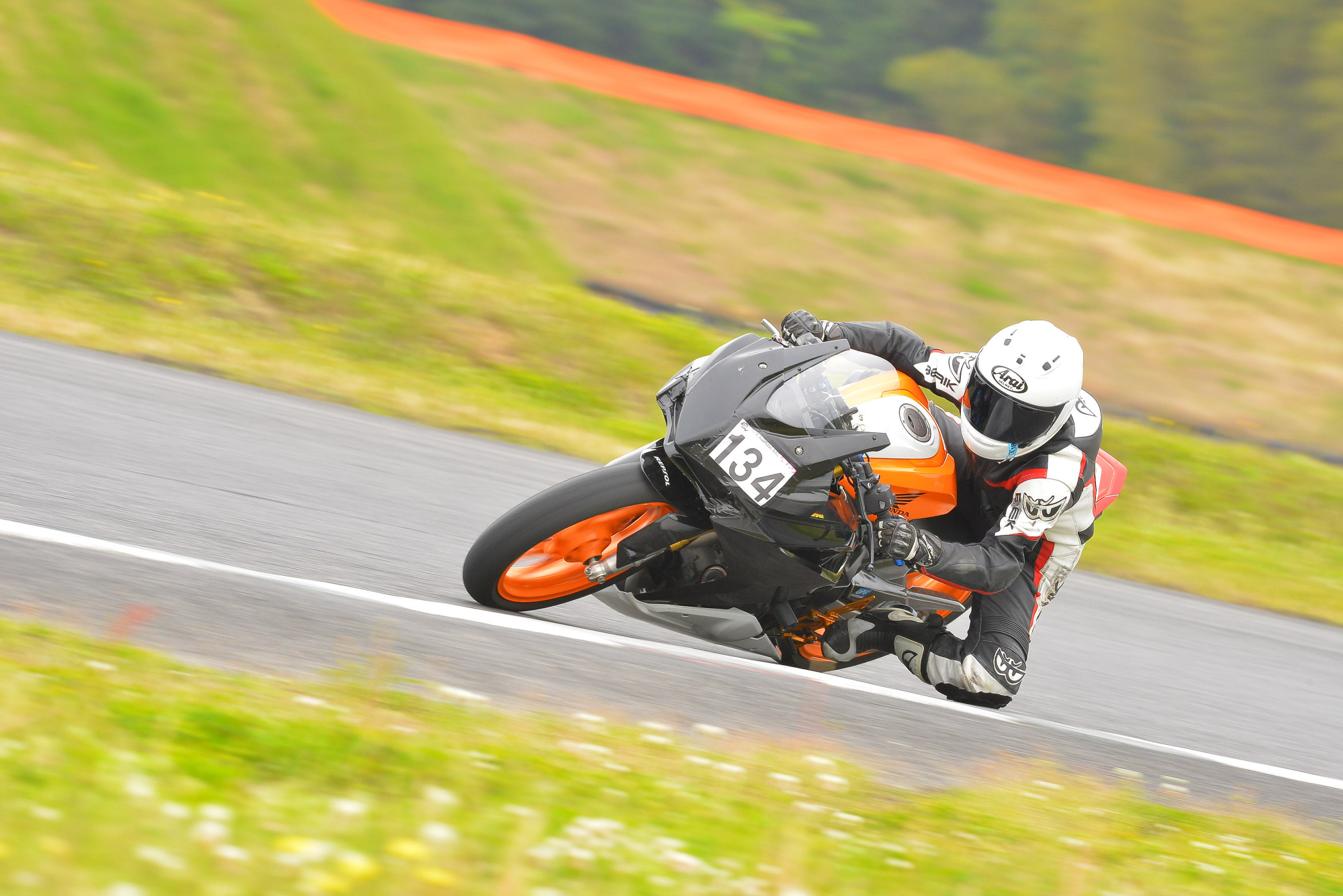 D8J_0938.JPG