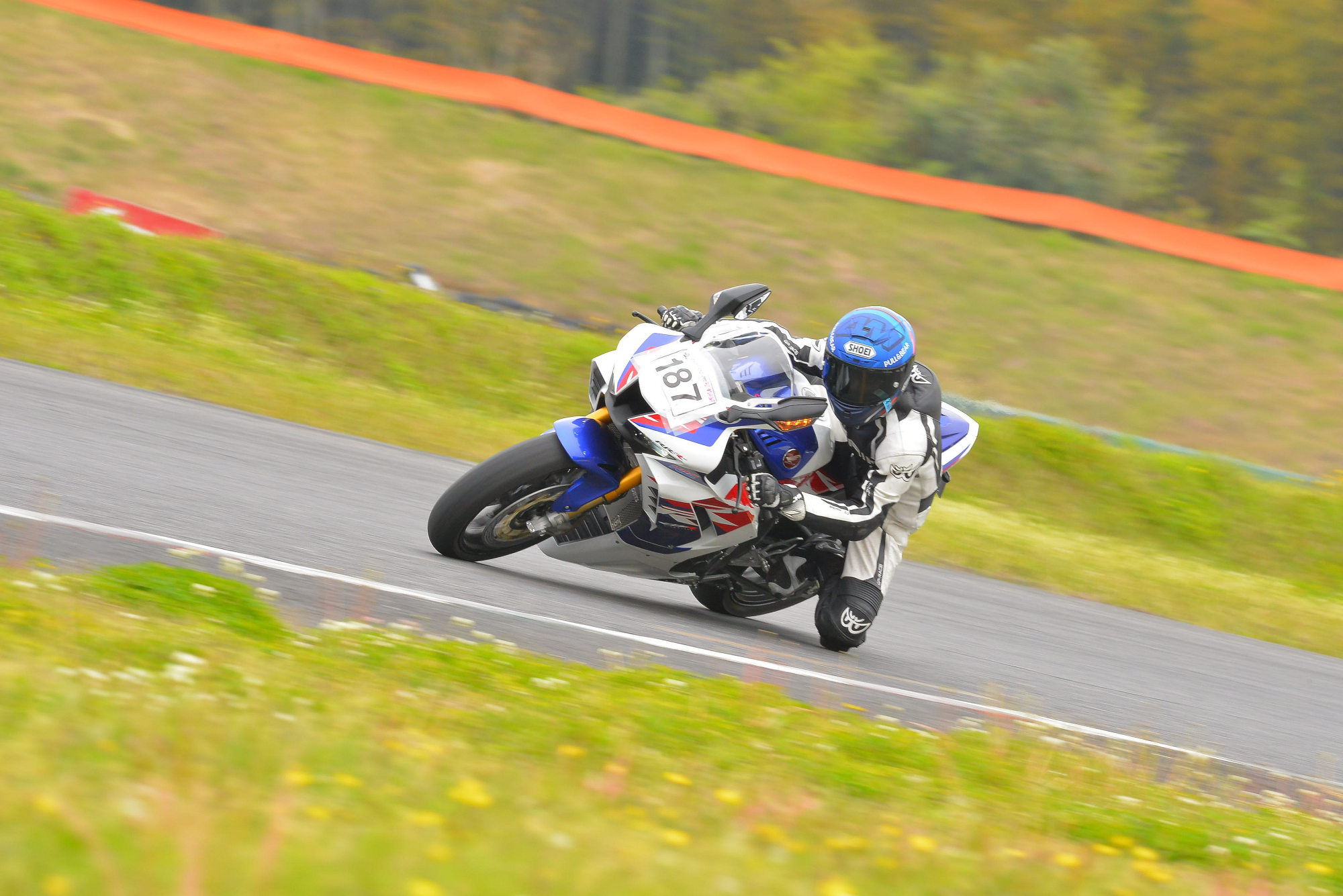 D8J_0940.JPG