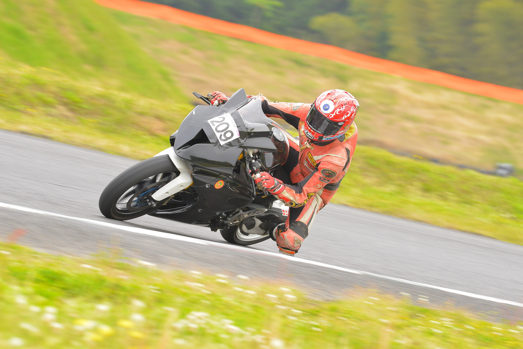 D8J_0945.JPG