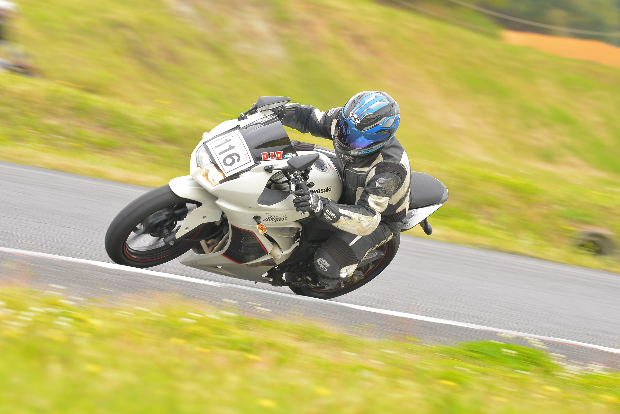 D8J_0949.JPG