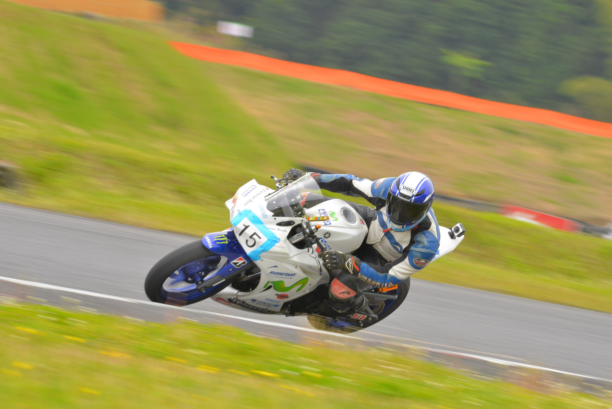 D8J_0953.JPG