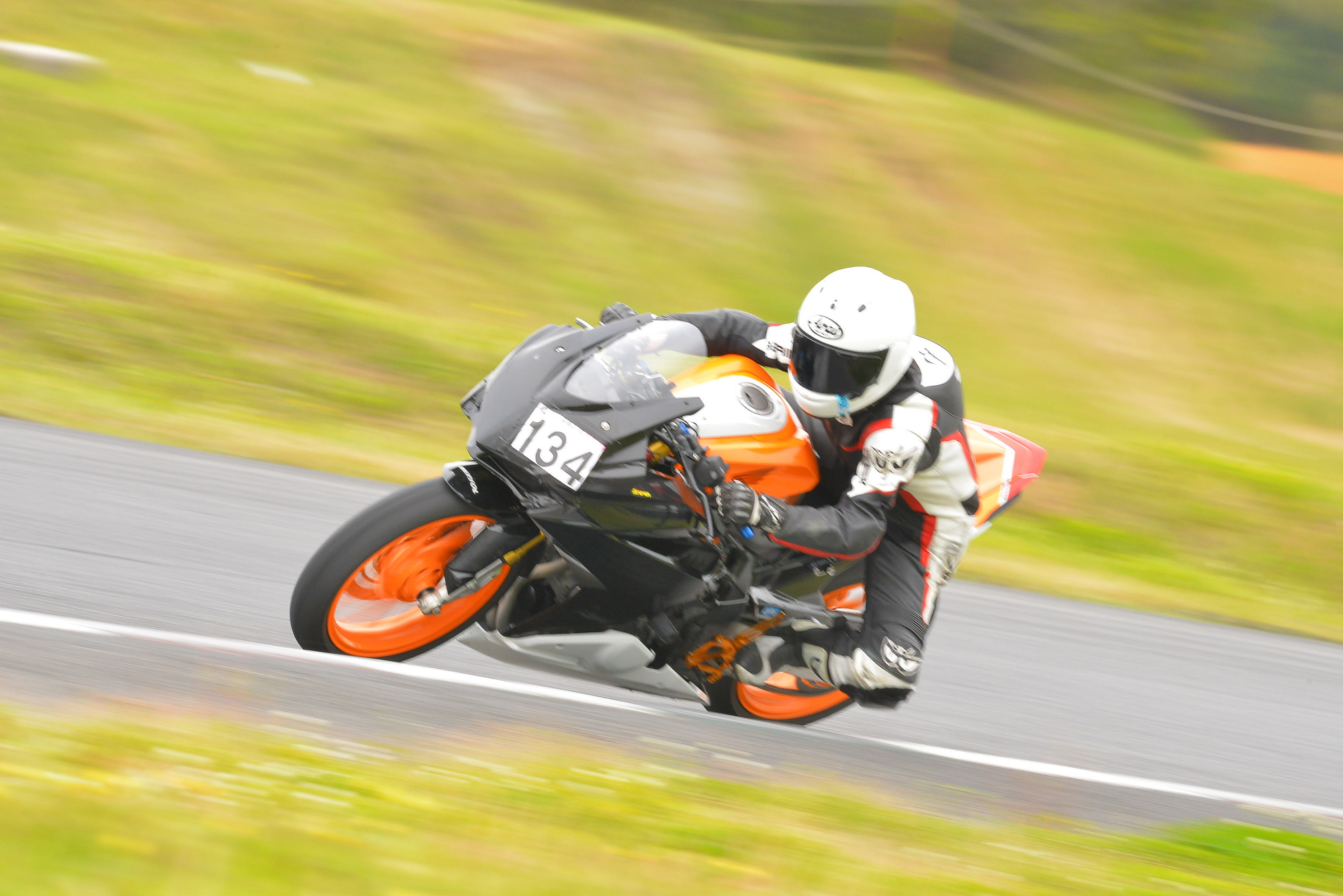 D8J_0956.JPG