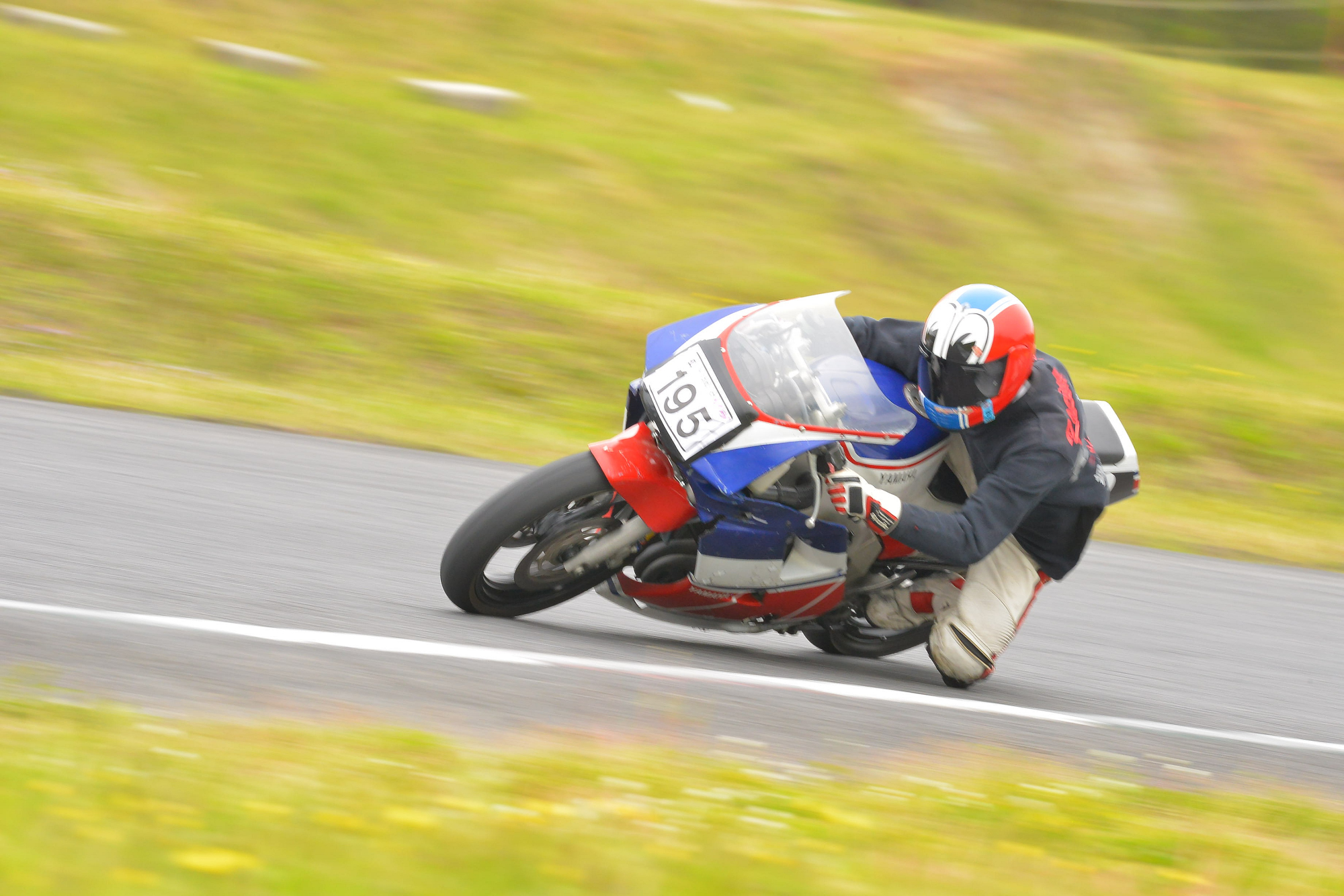 D8J_0961.JPG