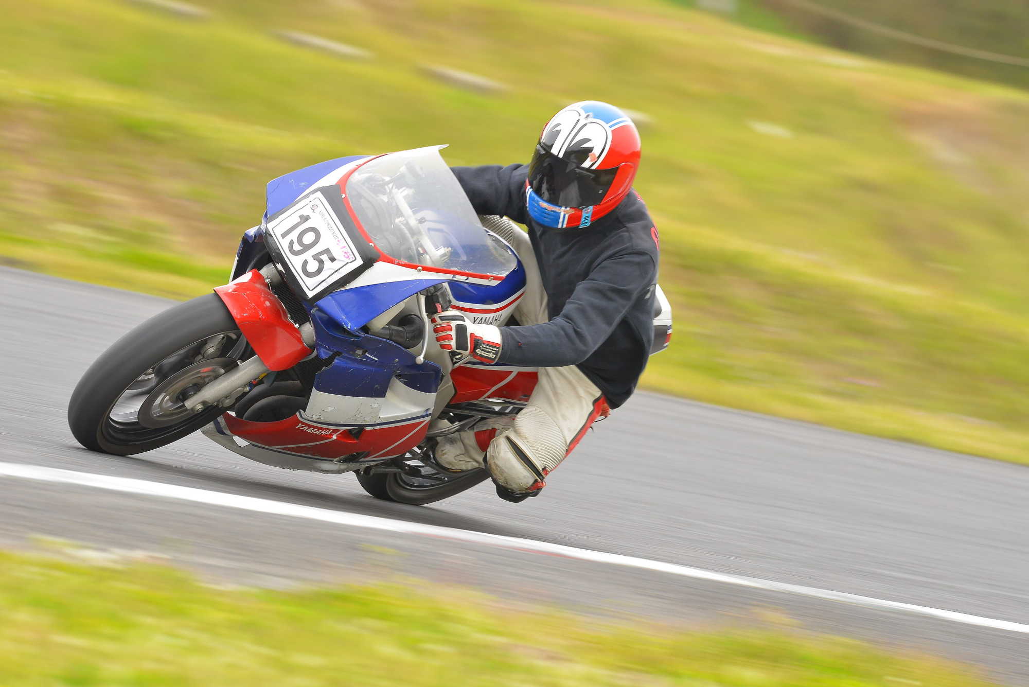 D8J_0974.JPG
